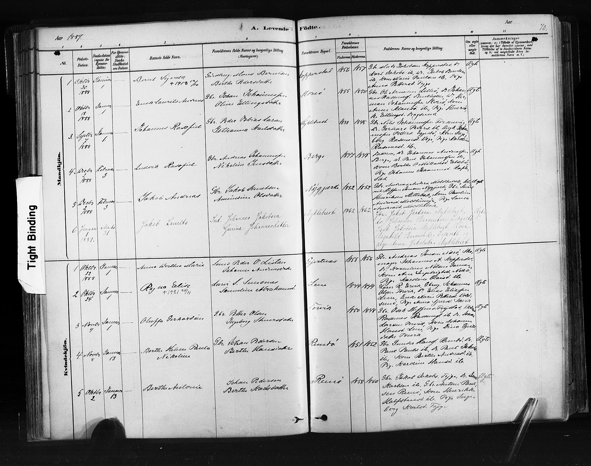 Ministerialprotokoller, klokkerbøker og fødselsregistre - Møre og Romsdal, SAT/A-1454/507/L0073: Ministerialbok nr. 507A08, 1878-1904, s. 70