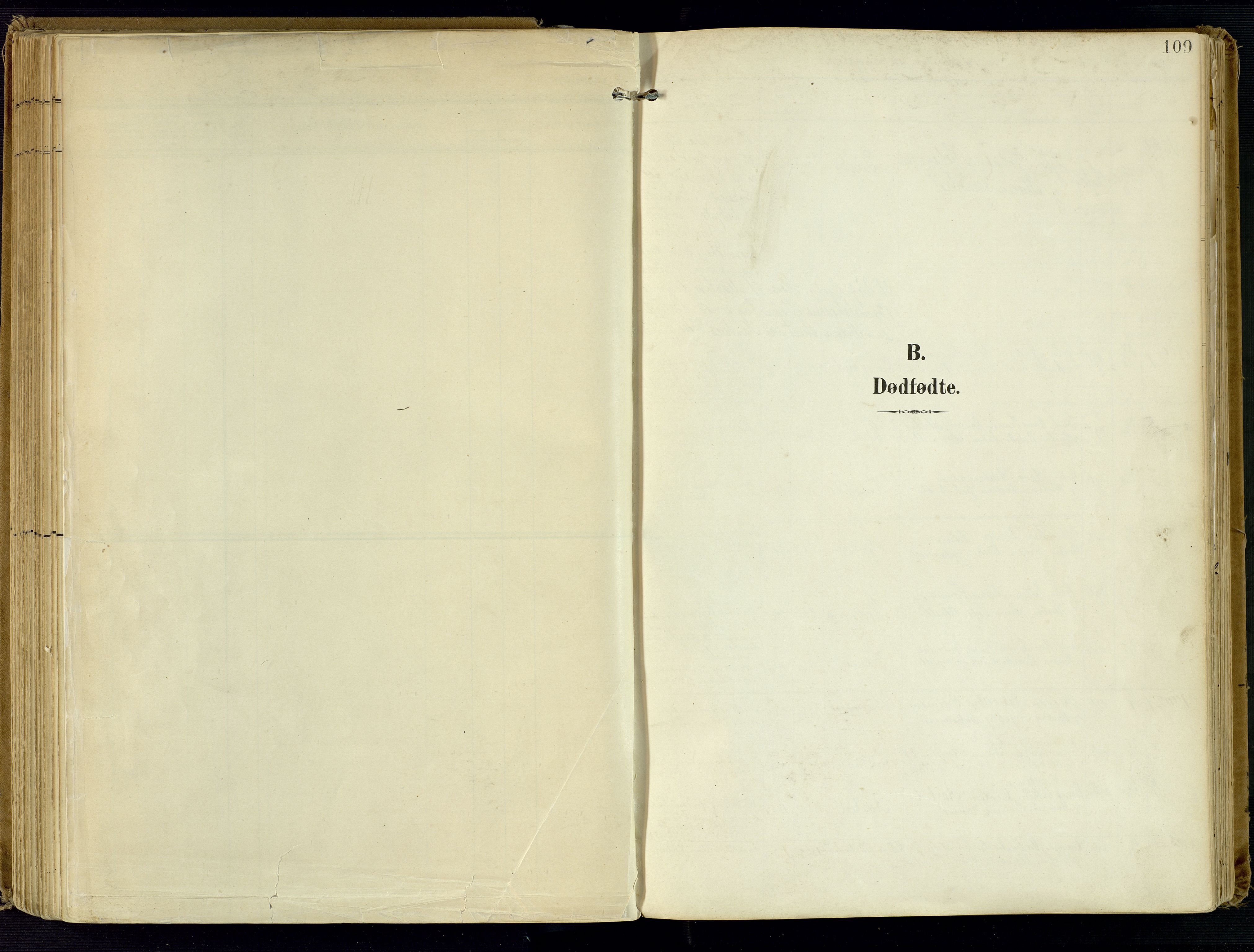 Kvinesdal sokneprestkontor, AV/SAK-1111-0026/F/Fa/Fab/L0009: Ministerialbok nr. A 9, 1898-1915, s. 109