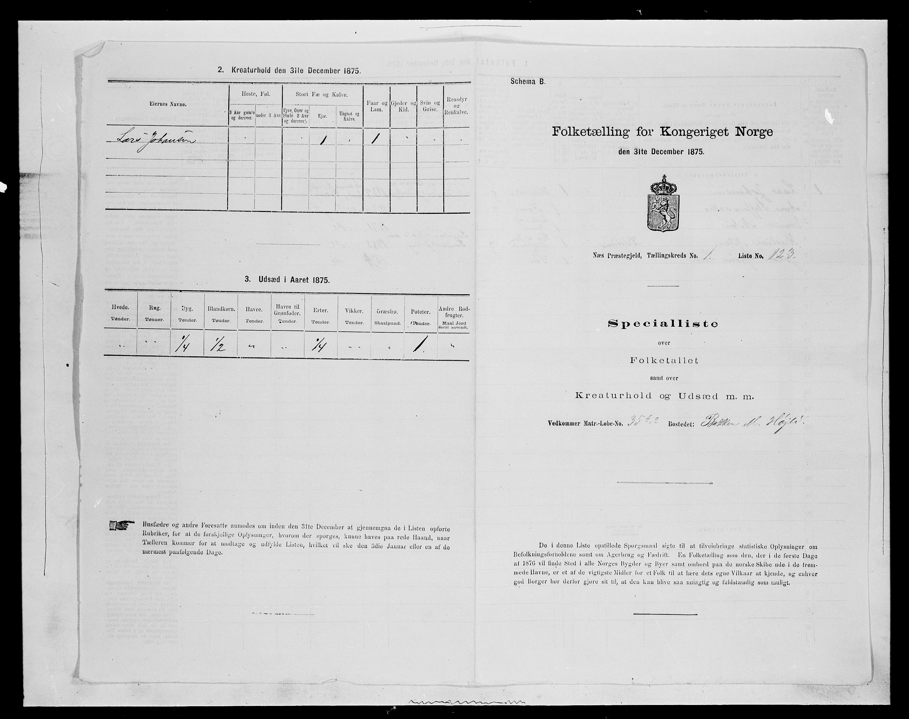 SAH, Folketelling 1875 for 0411P Nes prestegjeld, 1875, s. 323