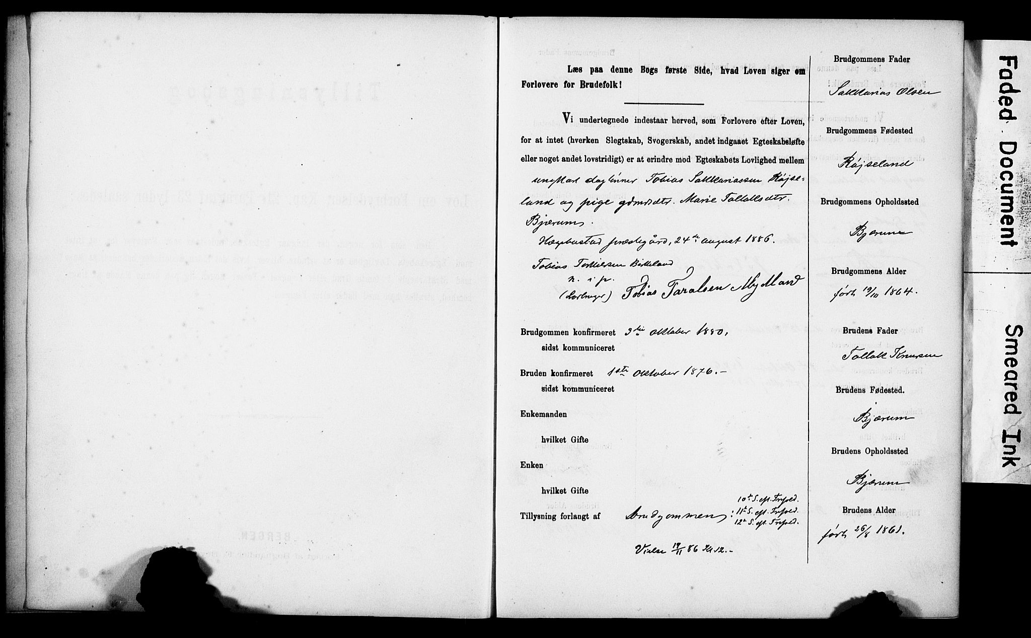Tysvær sokneprestkontor, AV/SAST-A -101864/I/Ie/L0001: Lysningsprotokoll nr. IX, 1886-1901