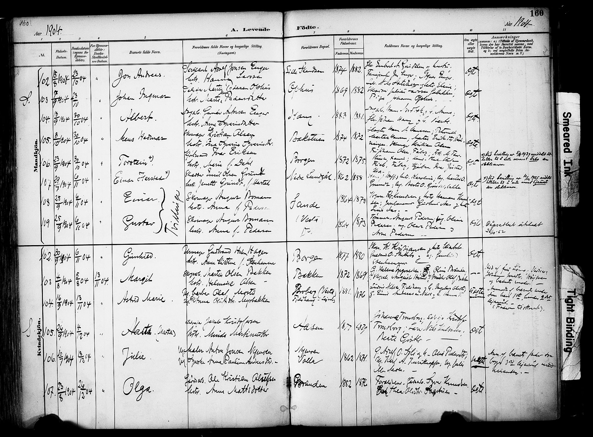 Elverum prestekontor, AV/SAH-PREST-044/H/Ha/Haa/L0014: Ministerialbok nr. 14, 1891-1909, s. 160