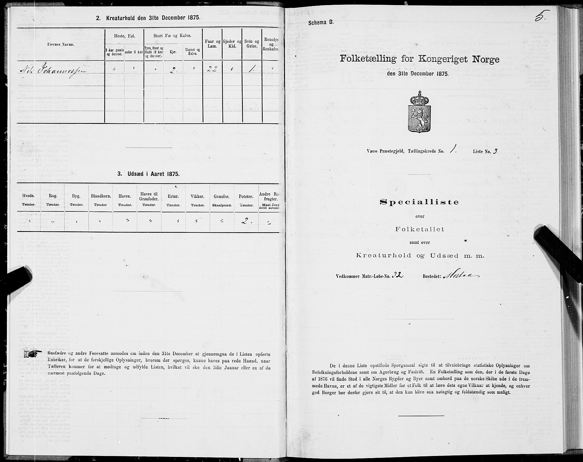 SAT, Folketelling 1875 for 1857P Værøy prestegjeld, 1875, s. 1005