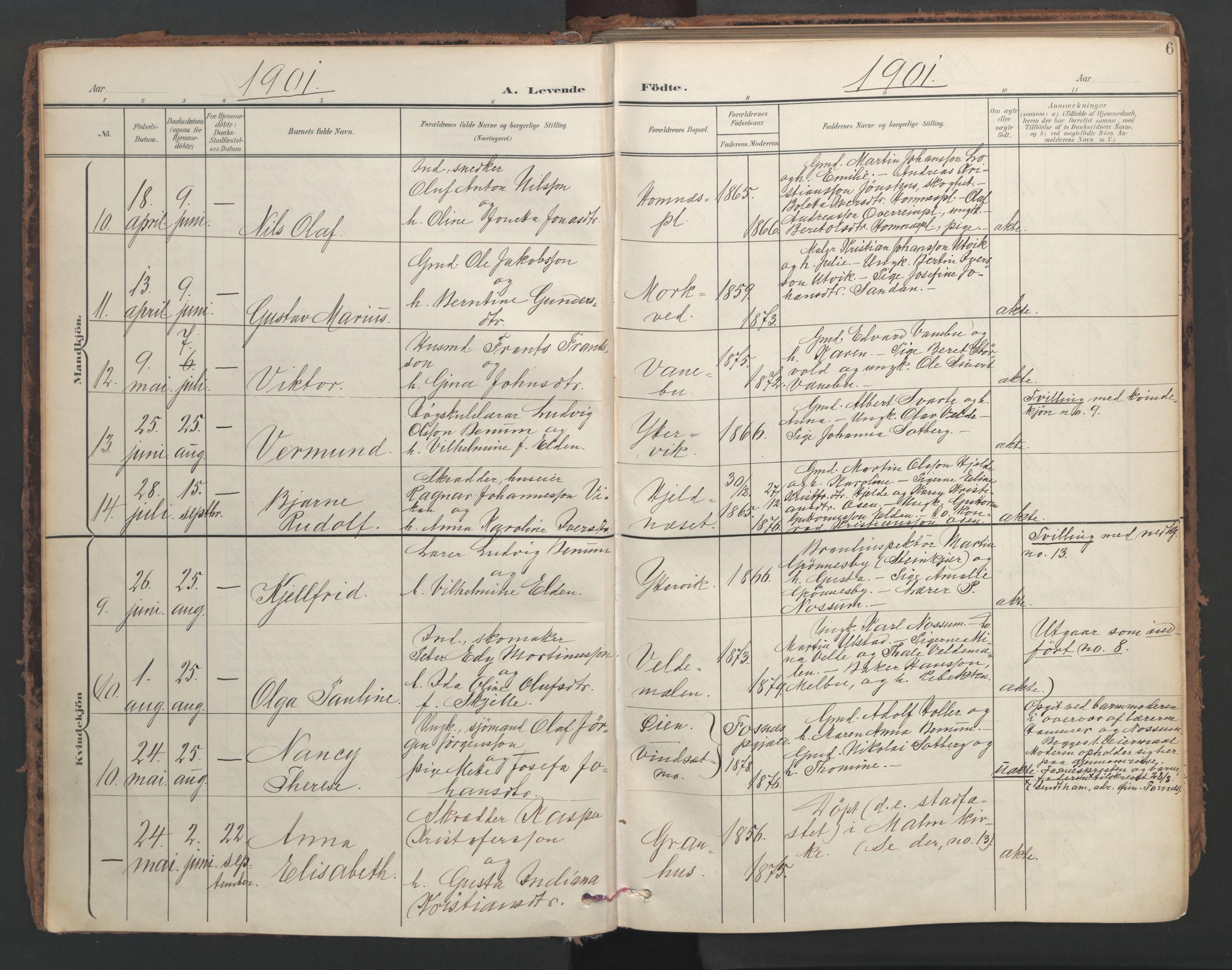 Ministerialprotokoller, klokkerbøker og fødselsregistre - Nord-Trøndelag, AV/SAT-A-1458/741/L0397: Ministerialbok nr. 741A11, 1901-1911, s. 6