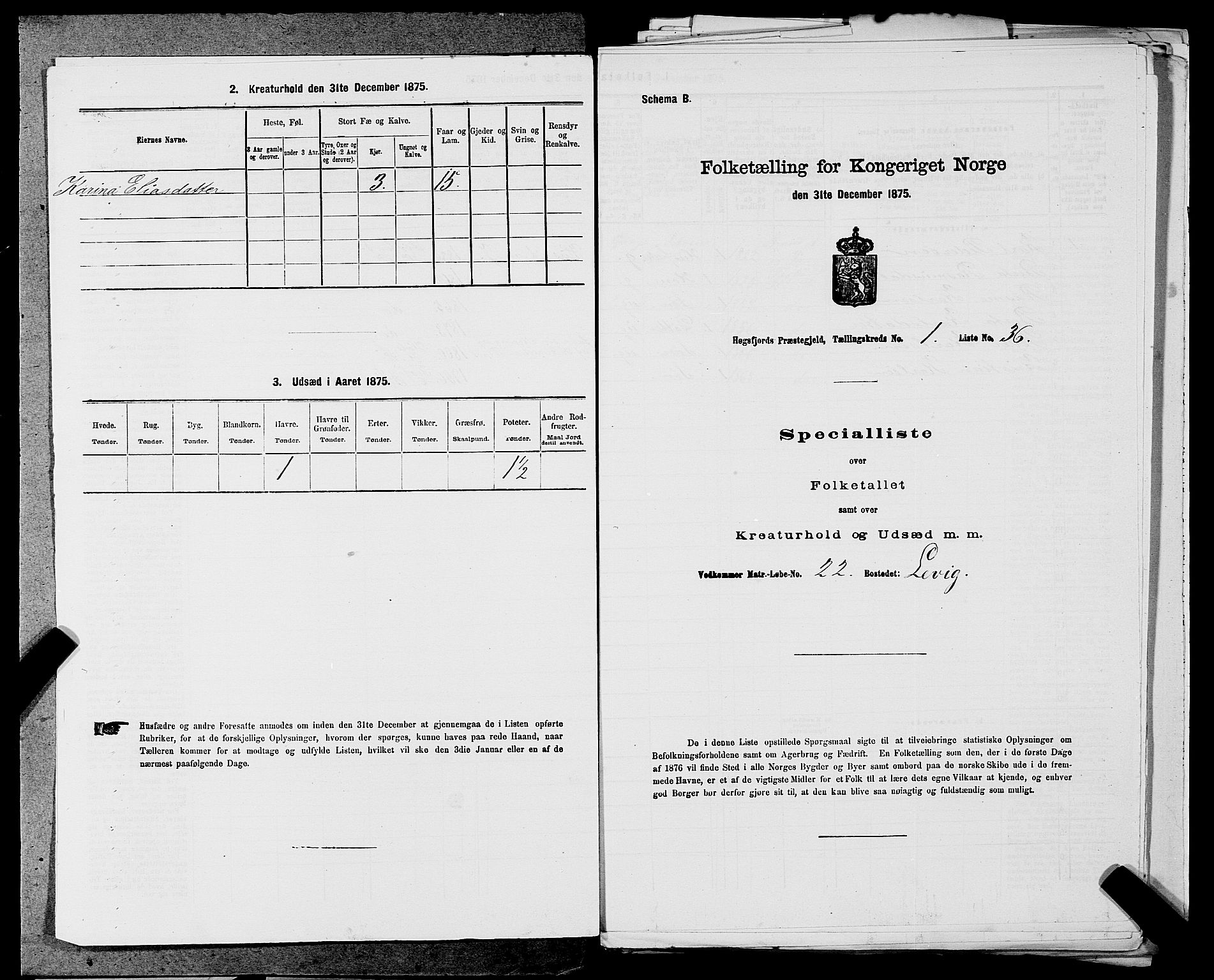 SAST, Folketelling 1875 for 1128P Høgsfjord prestegjeld, 1875, s. 138