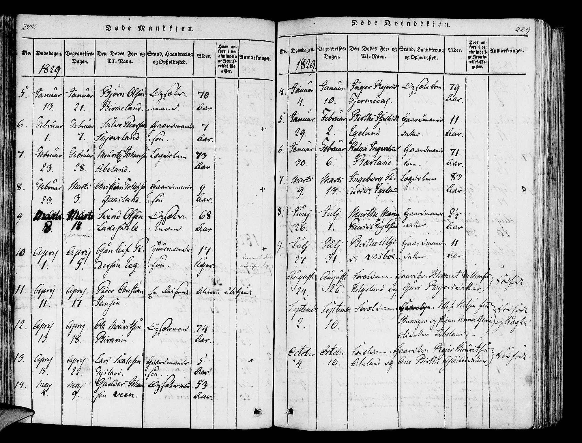 Helleland sokneprestkontor, SAST/A-101810: Ministerialbok nr. A 5, 1815-1834, s. 228-229