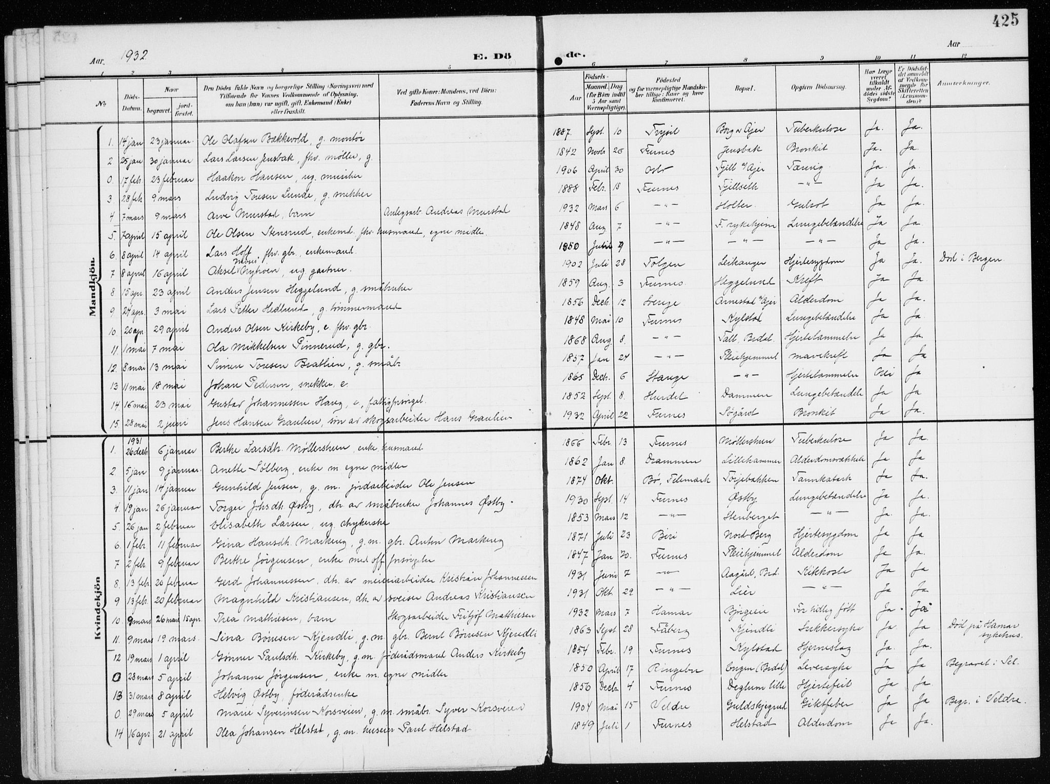 Furnes prestekontor, SAH/PREST-012/K/Ka/L0001: Ministerialbok nr. 1, 1907-1935, s. 425