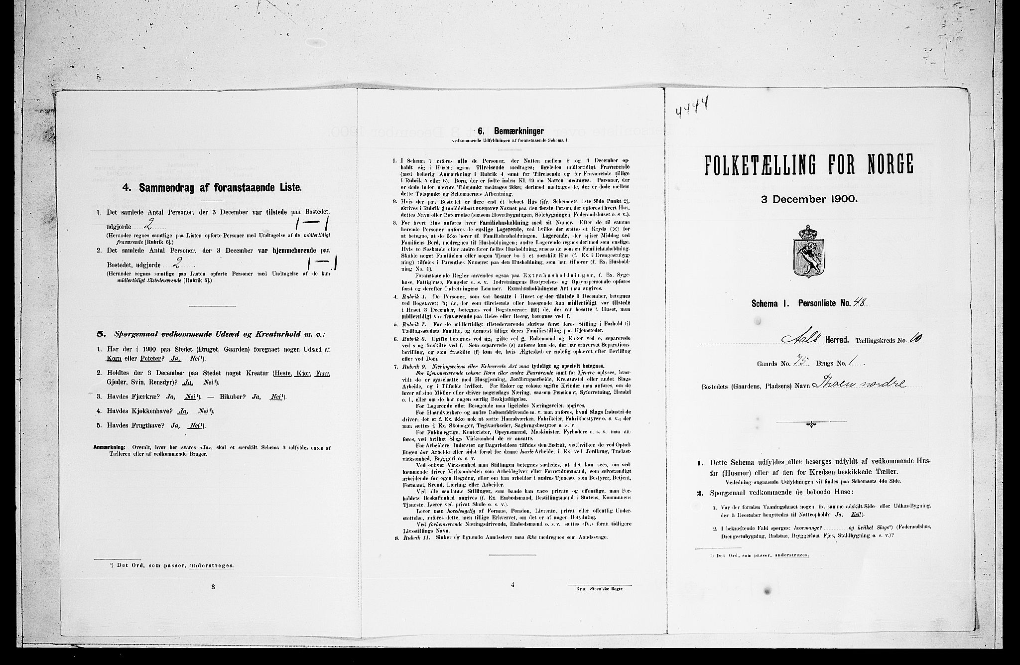 RA, Folketelling 1900 for 0619 Ål herred, 1900, s. 894