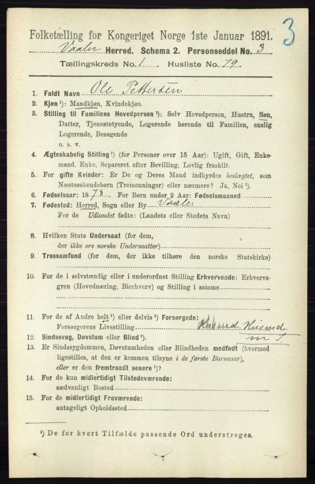 RA, Folketelling 1891 for 0137 Våler herred, 1891, s. 602