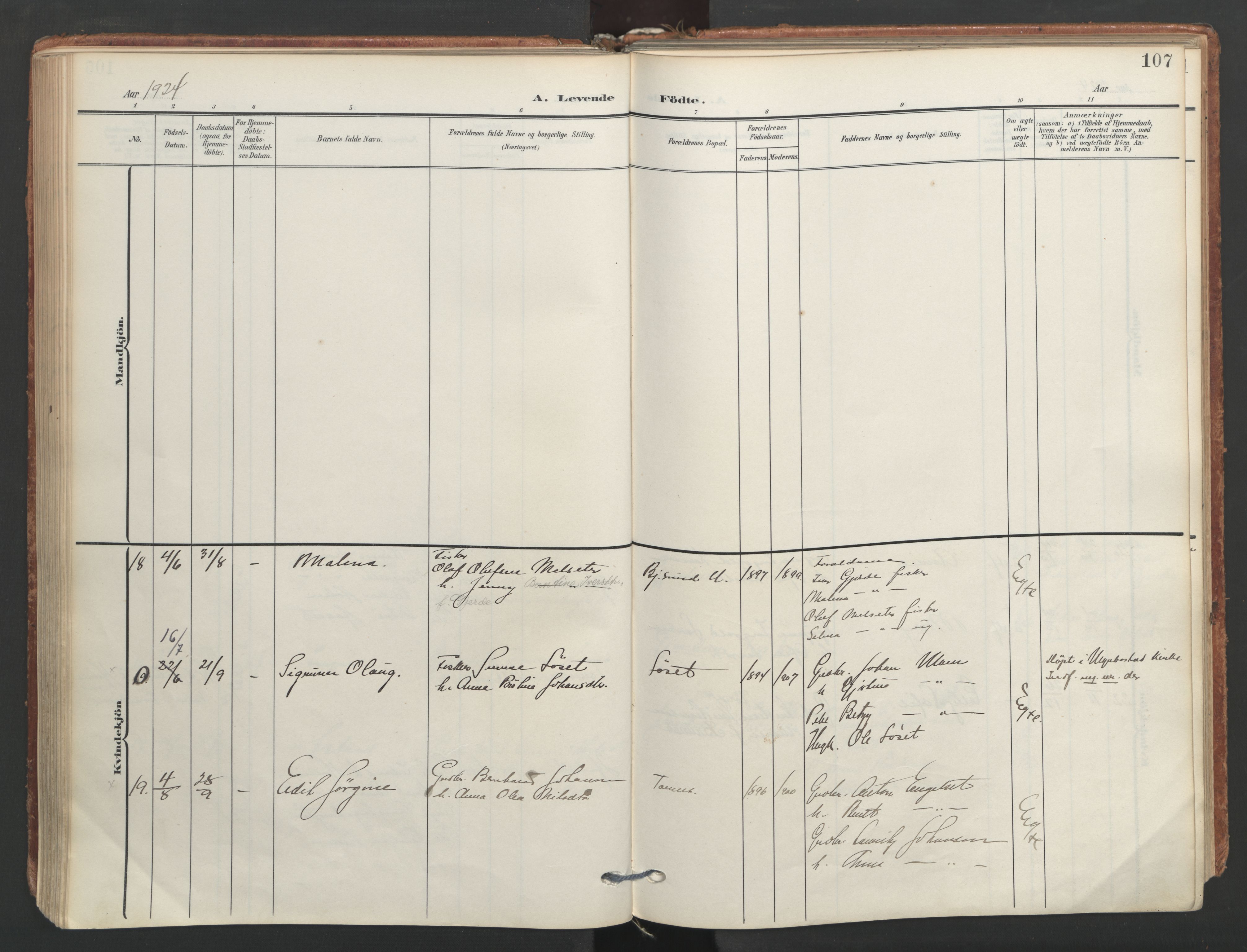 Ministerialprotokoller, klokkerbøker og fødselsregistre - Møre og Romsdal, AV/SAT-A-1454/565/L0751: Ministerialbok nr. 565A05, 1905-1979, s. 107