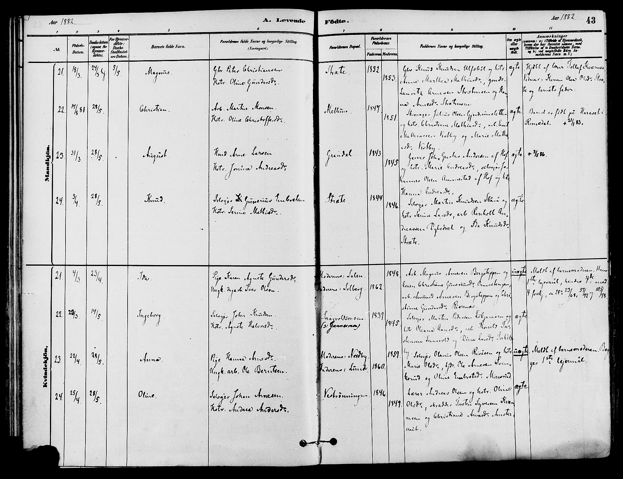 Våler prestekontor, Hedmark, AV/SAH-PREST-040/H/Ha/Haa/L0002: Ministerialbok nr. 3, 1879-1911, s. 43