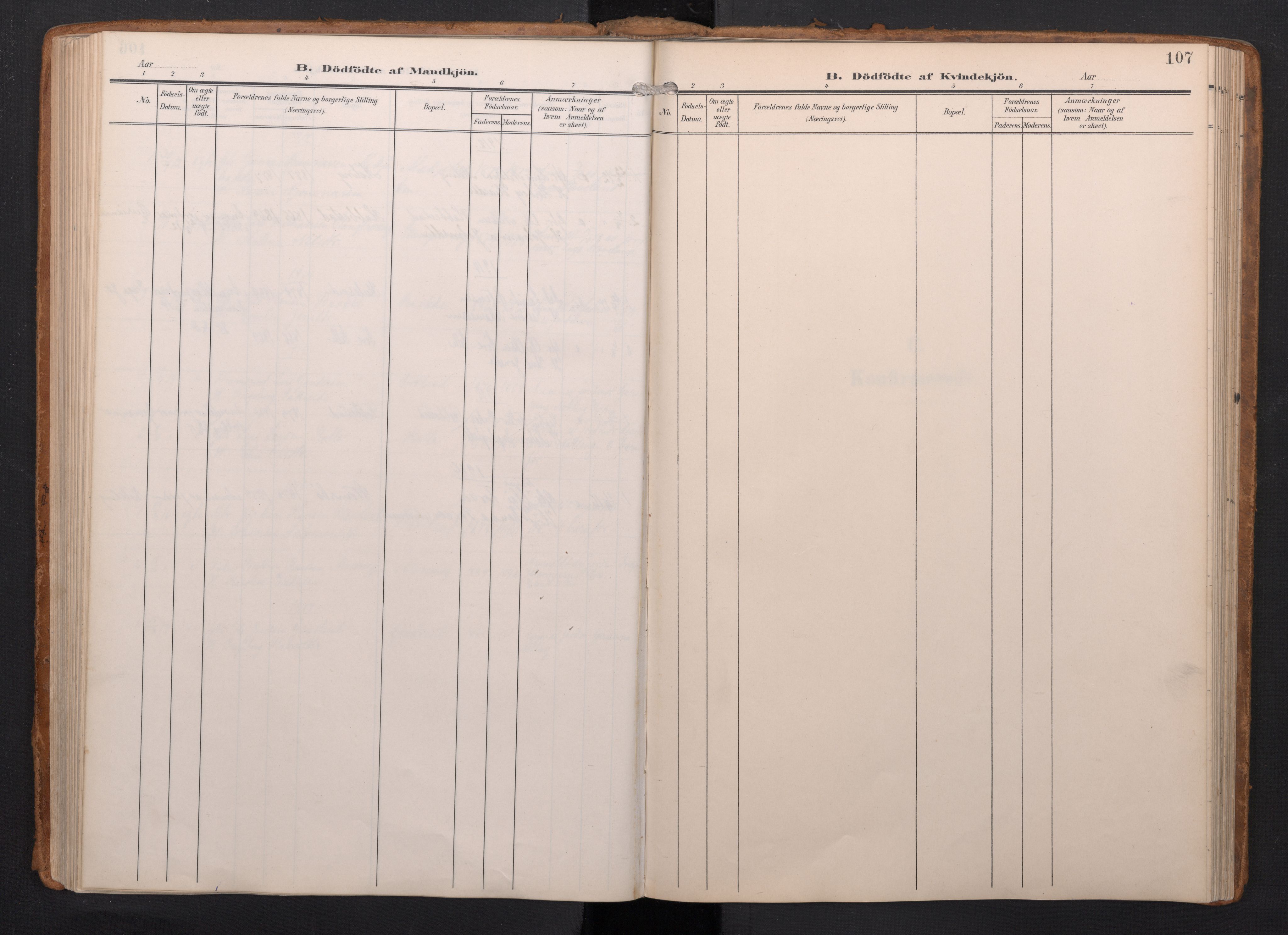 Finnås sokneprestembete, SAB/A-99925/H/Ha/Haa/Haac/L0003: Ministerialbok nr. C 3, 1905-1917, s. 107