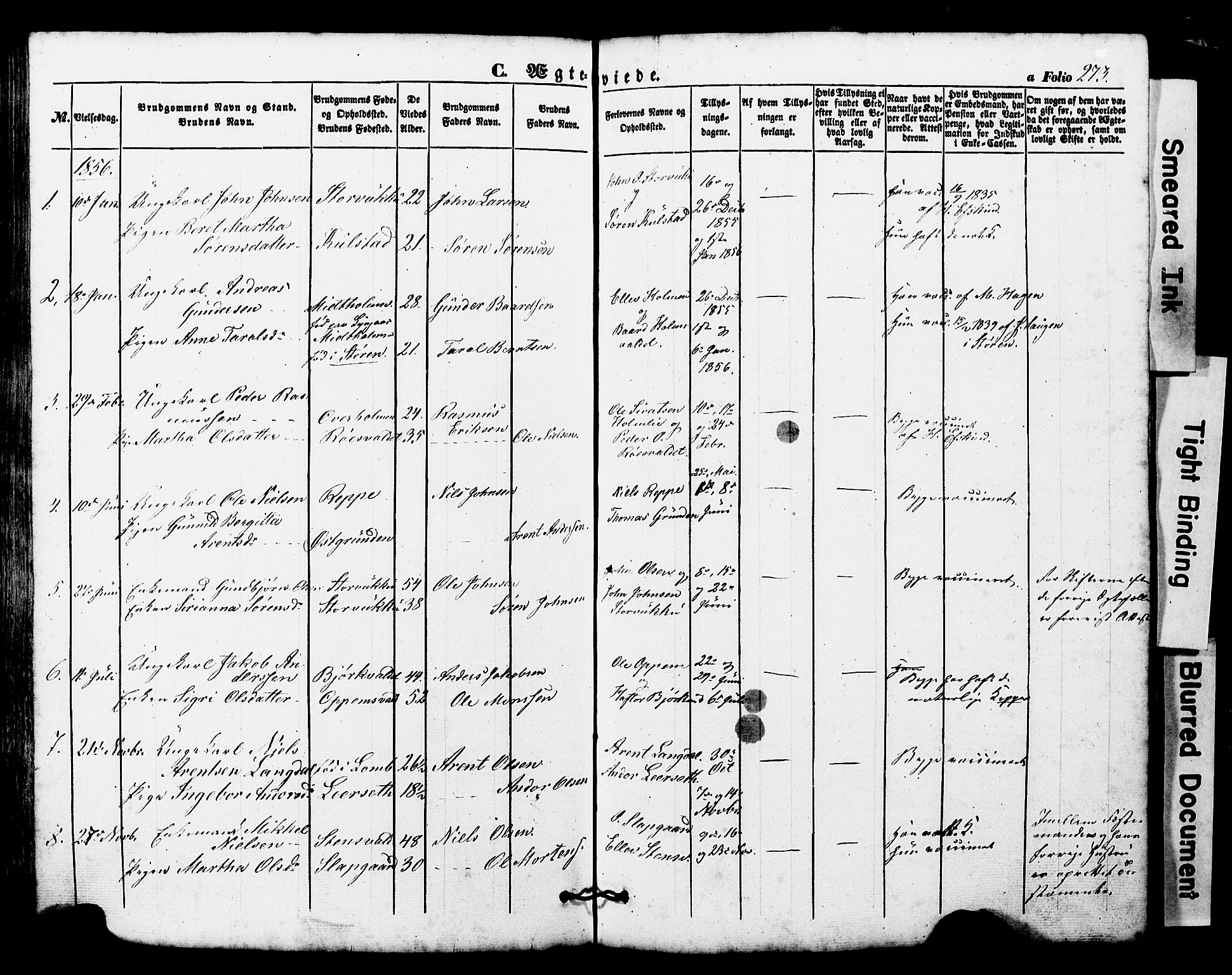 Ministerialprotokoller, klokkerbøker og fødselsregistre - Nord-Trøndelag, SAT/A-1458/724/L0268: Klokkerbok nr. 724C04, 1846-1878, s. 273