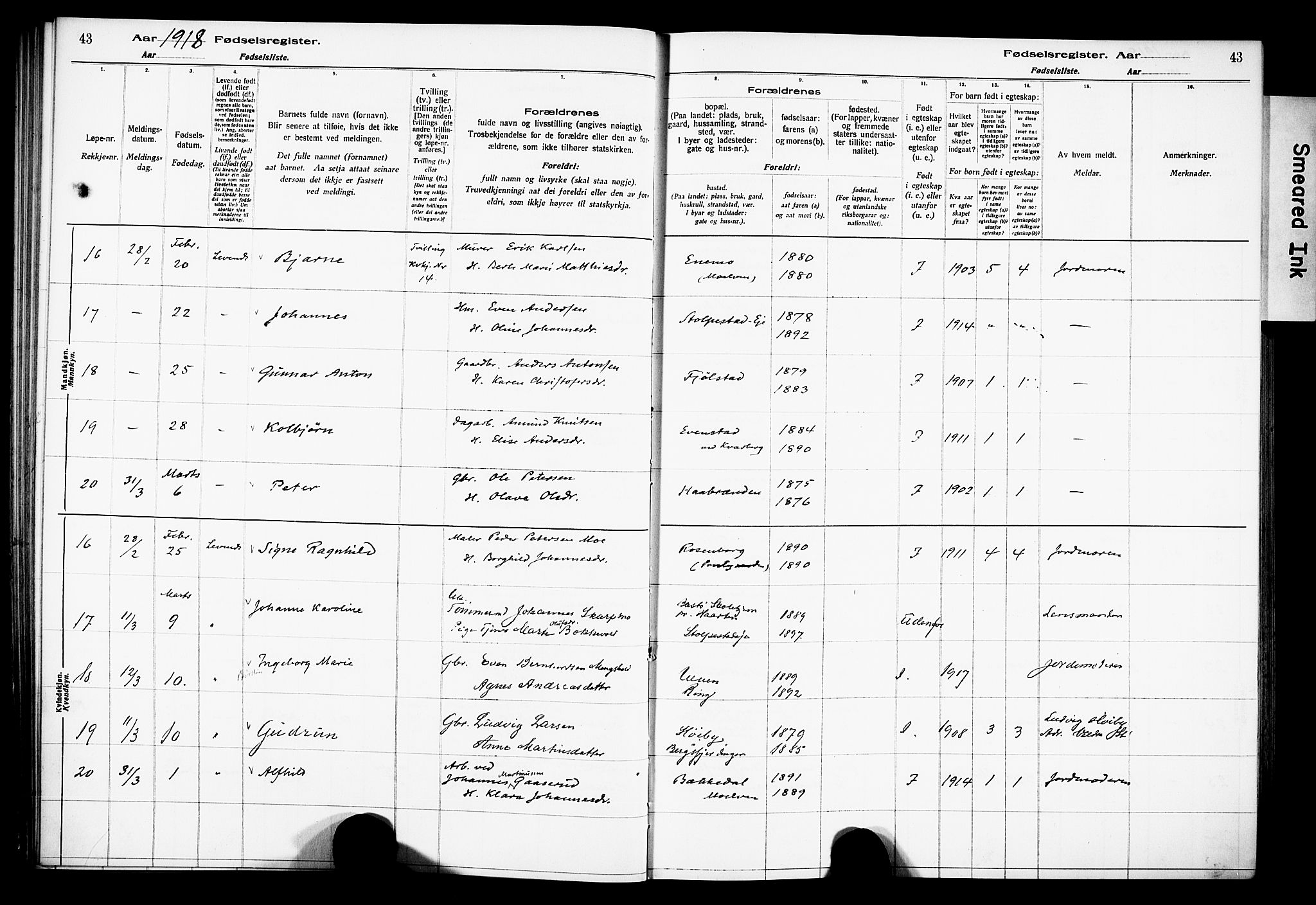 Ringsaker prestekontor, AV/SAH-PREST-014/O/Oa/L0001: Fødselsregister nr. 1, 1916-1925, s. 43