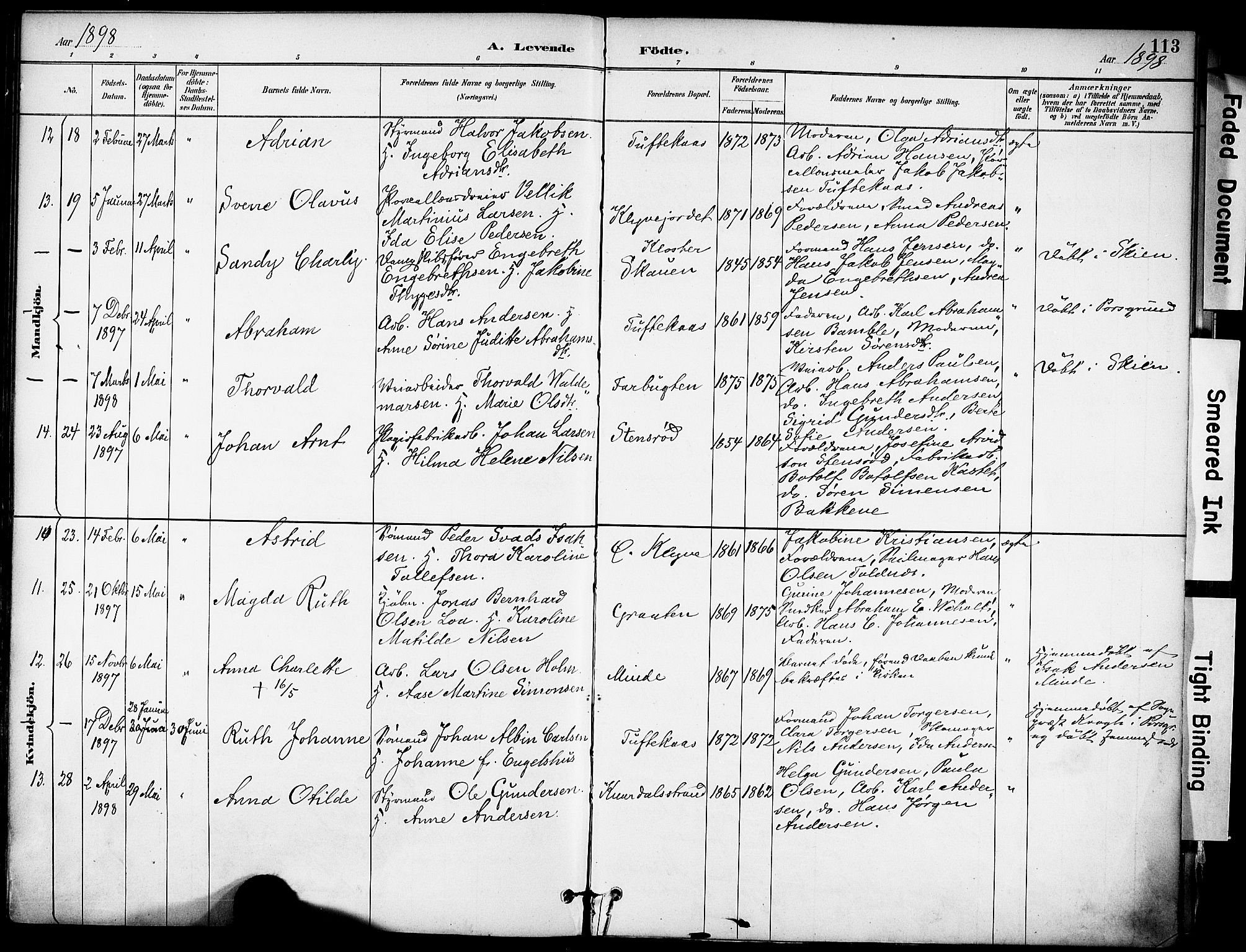 Solum kirkebøker, AV/SAKO-A-306/F/Fa/L0010: Ministerialbok nr. I 10, 1888-1898, s. 113