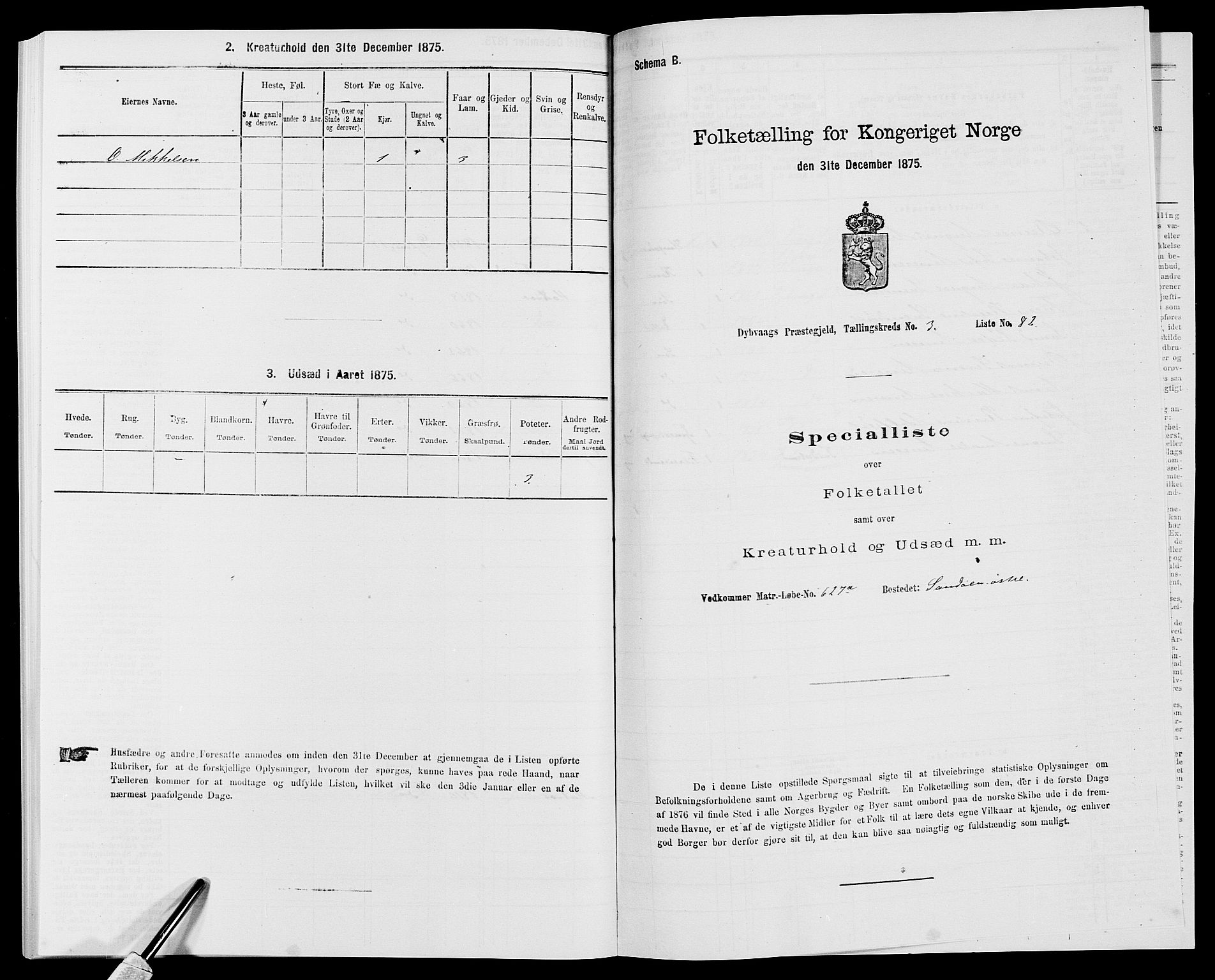 SAK, Folketelling 1875 for 0915P Dypvåg prestegjeld, 1875, s. 422