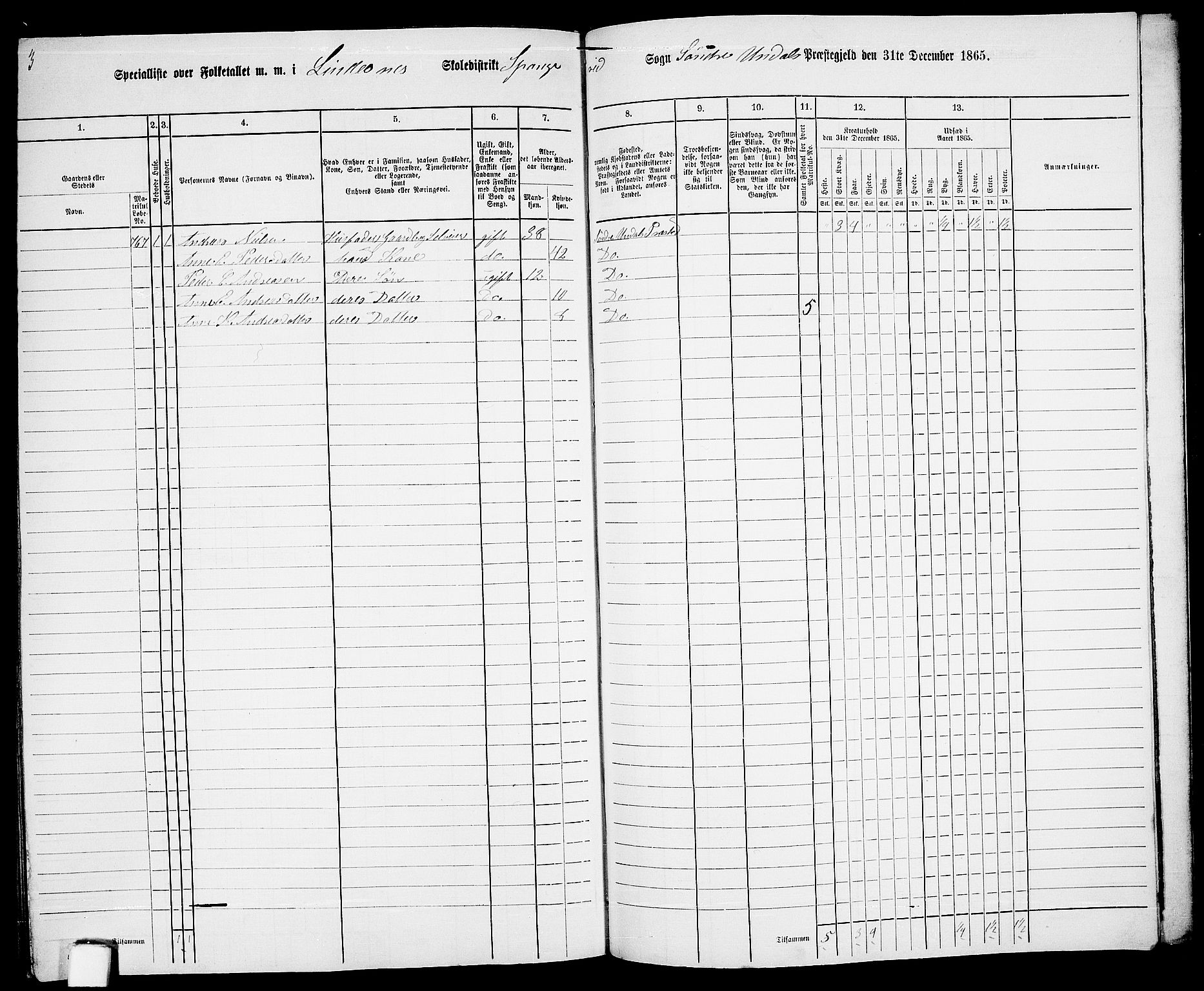 RA, Folketelling 1865 for 1029P Sør-Audnedal prestegjeld, 1865, s. 199