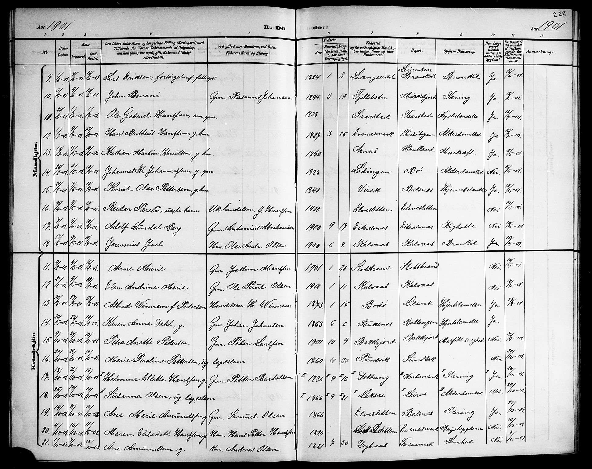 Ministerialprotokoller, klokkerbøker og fødselsregistre - Nordland, AV/SAT-A-1459/863/L0915: Klokkerbok nr. 863C05, 1898-1907, s. 228