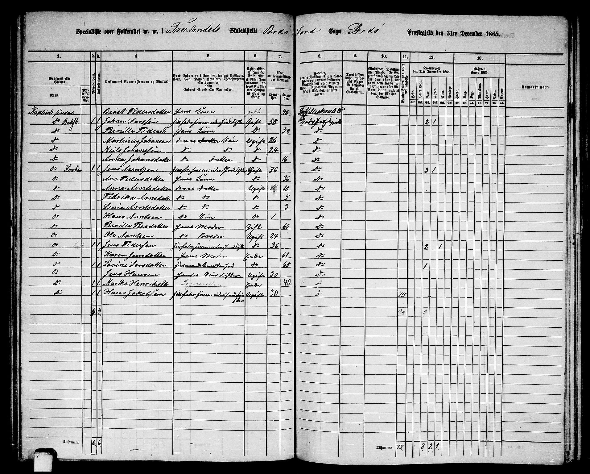 RA, Folketelling 1865 for 1843L Bodø prestegjeld, Bodø landsokn, 1865, s. 92