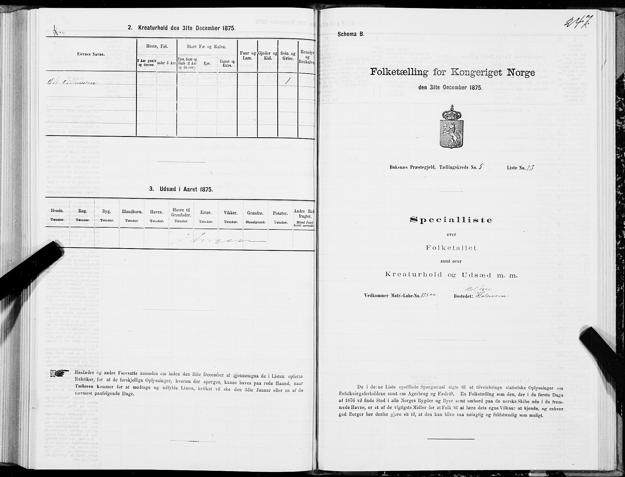 SAT, Folketelling 1875 for 1860P Buksnes prestegjeld, 1875, s. 2247