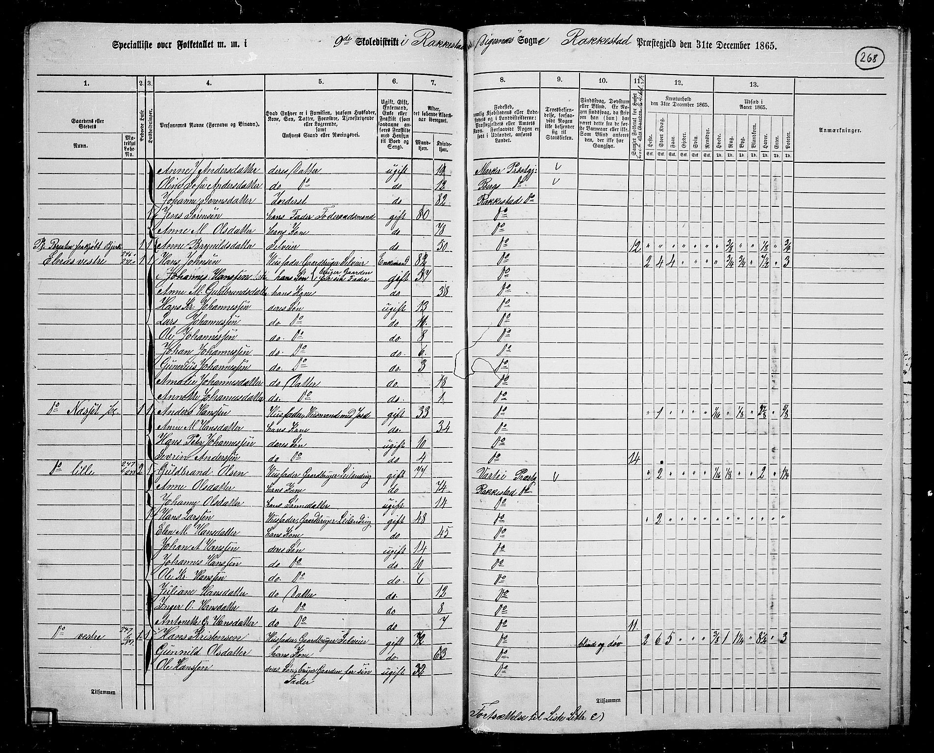 RA, Folketelling 1865 for 0128P Rakkestad prestegjeld, 1865, s. 257