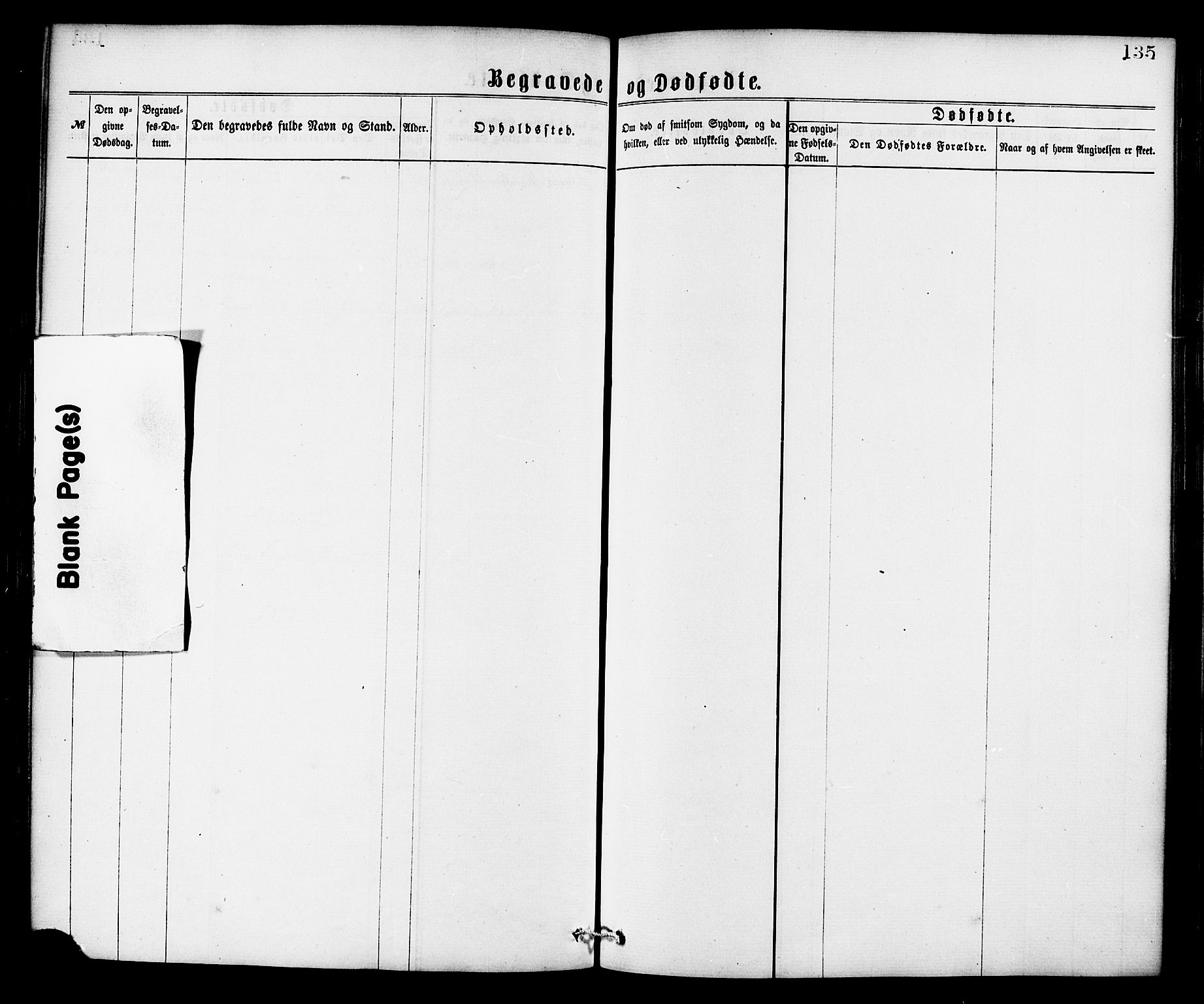 Ministerialprotokoller, klokkerbøker og fødselsregistre - Nordland, AV/SAT-A-1459/826/L0378: Ministerialbok nr. 826A01, 1865-1878, s. 135