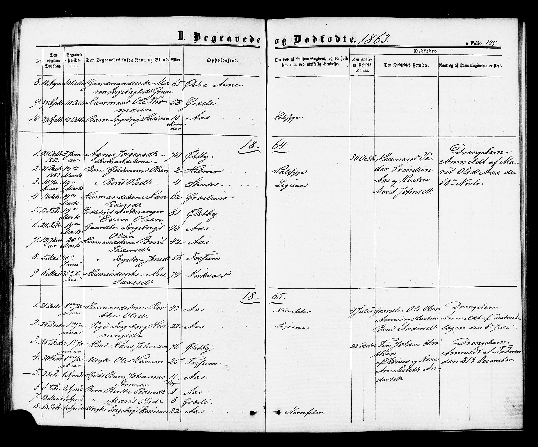 Ministerialprotokoller, klokkerbøker og fødselsregistre - Sør-Trøndelag, SAT/A-1456/698/L1163: Ministerialbok nr. 698A01, 1862-1887, s. 145