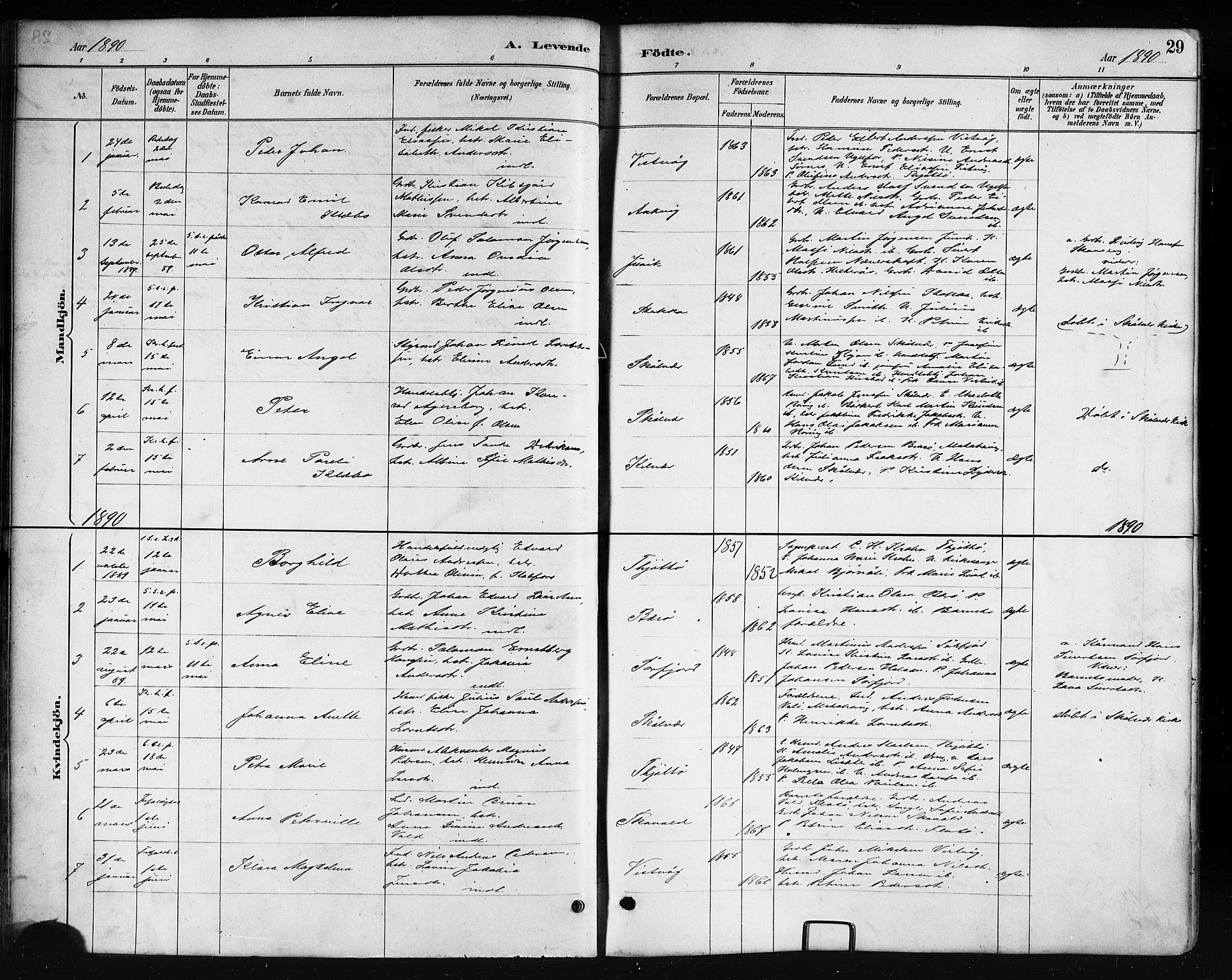 Ministerialprotokoller, klokkerbøker og fødselsregistre - Nordland, AV/SAT-A-1459/817/L0268: Klokkerbok nr. 817C03, 1884-1920, s. 29