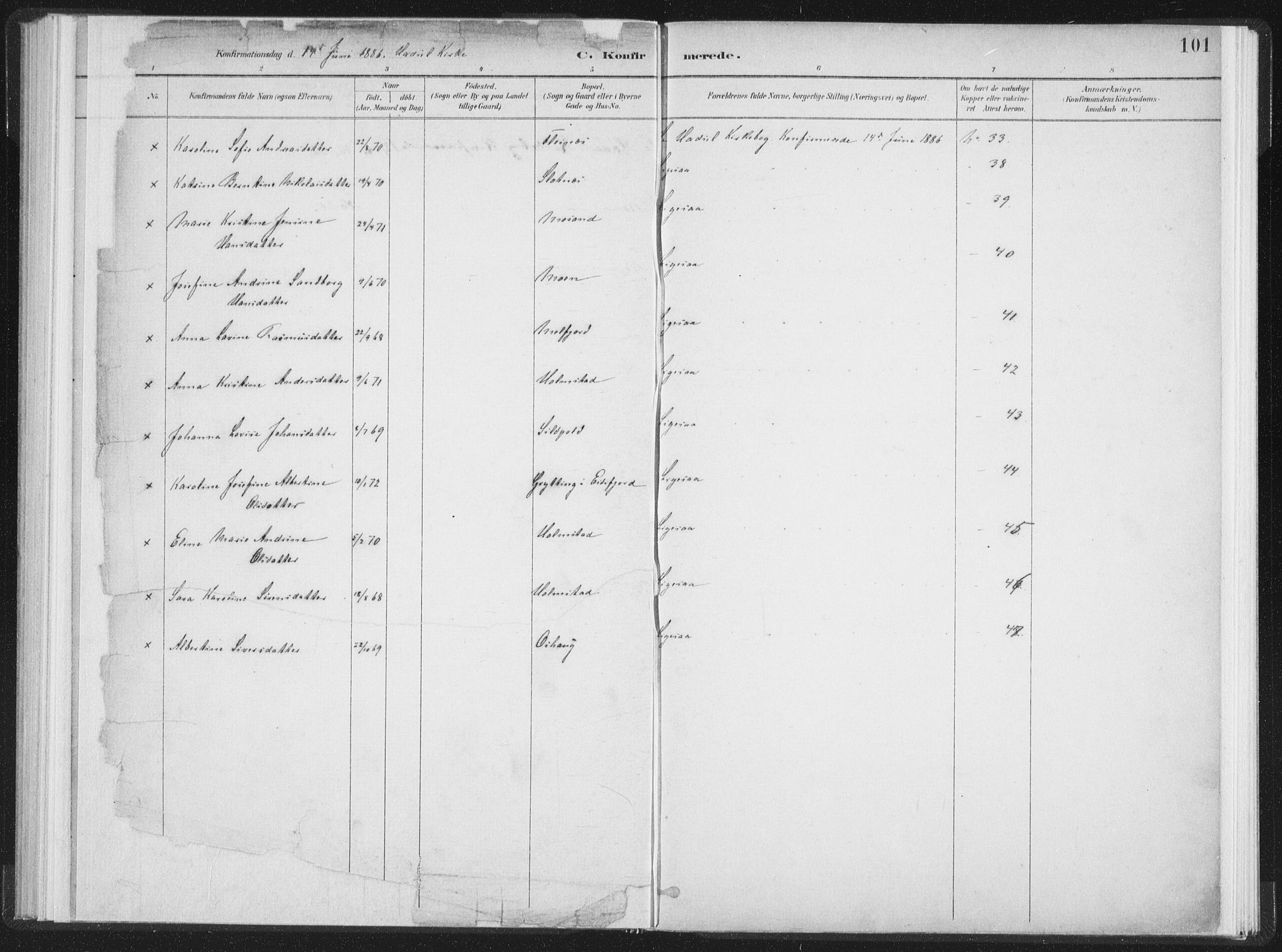 Ministerialprotokoller, klokkerbøker og fødselsregistre - Nordland, AV/SAT-A-1459/890/L1286: Ministerialbok nr. 890A01, 1882-1902, s. 101