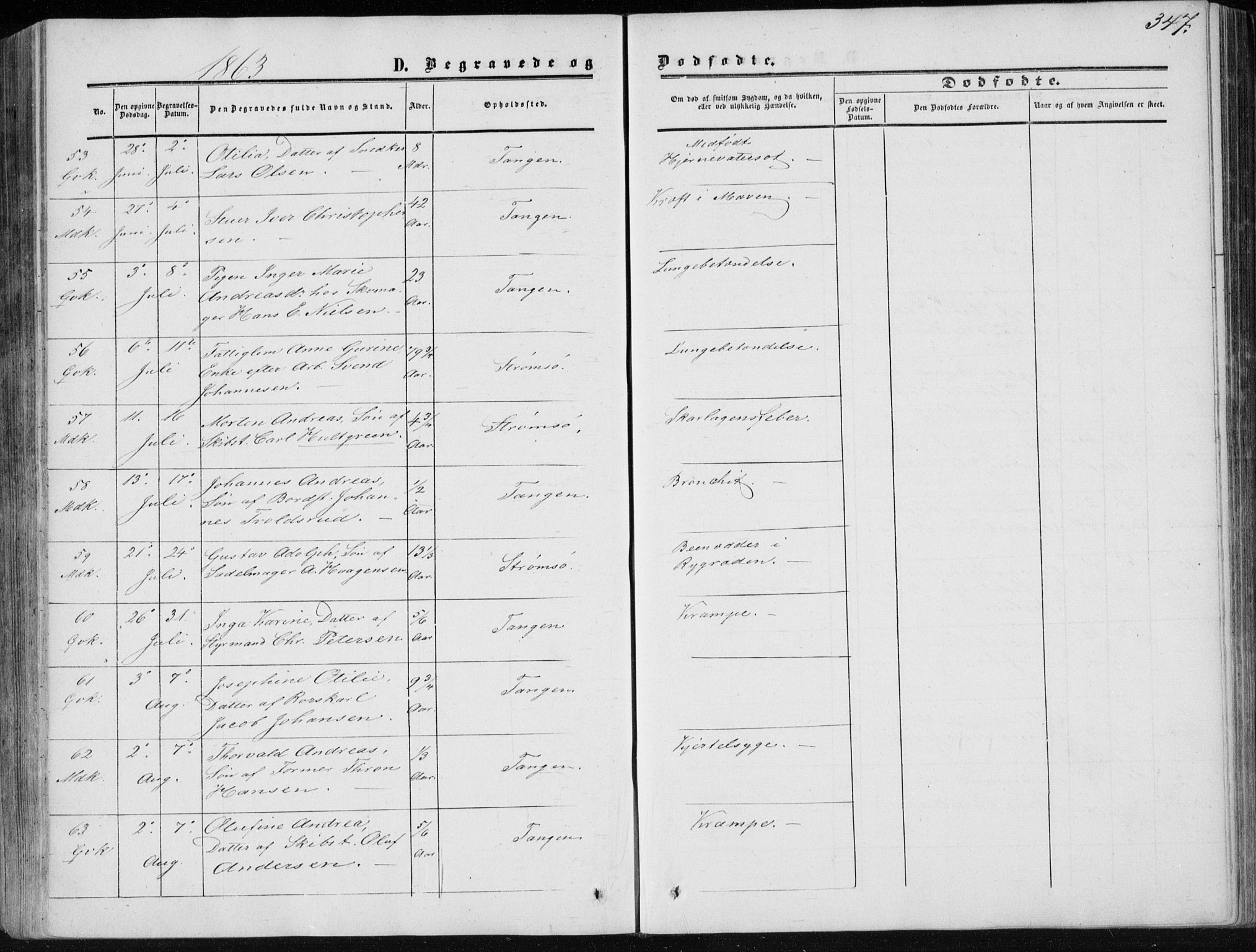 Strømsø kirkebøker, AV/SAKO-A-246/F/Fa/L0015: Ministerialbok nr. I 15, 1859-1868, s. 347