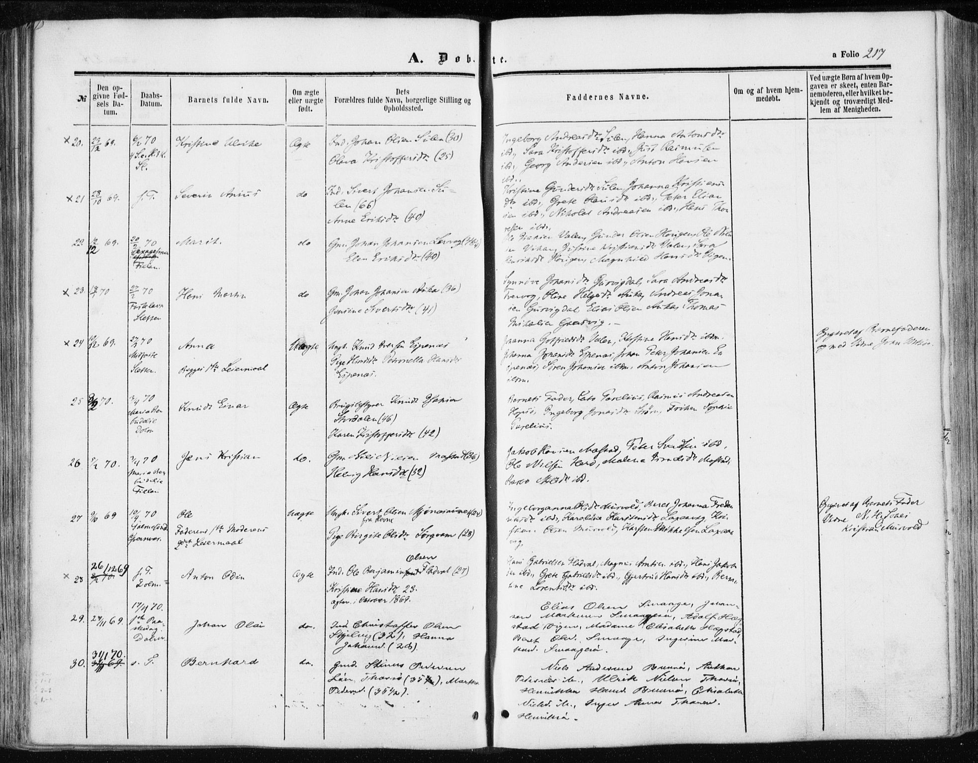 Ministerialprotokoller, klokkerbøker og fødselsregistre - Sør-Trøndelag, SAT/A-1456/634/L0531: Ministerialbok nr. 634A07, 1861-1870, s. 217