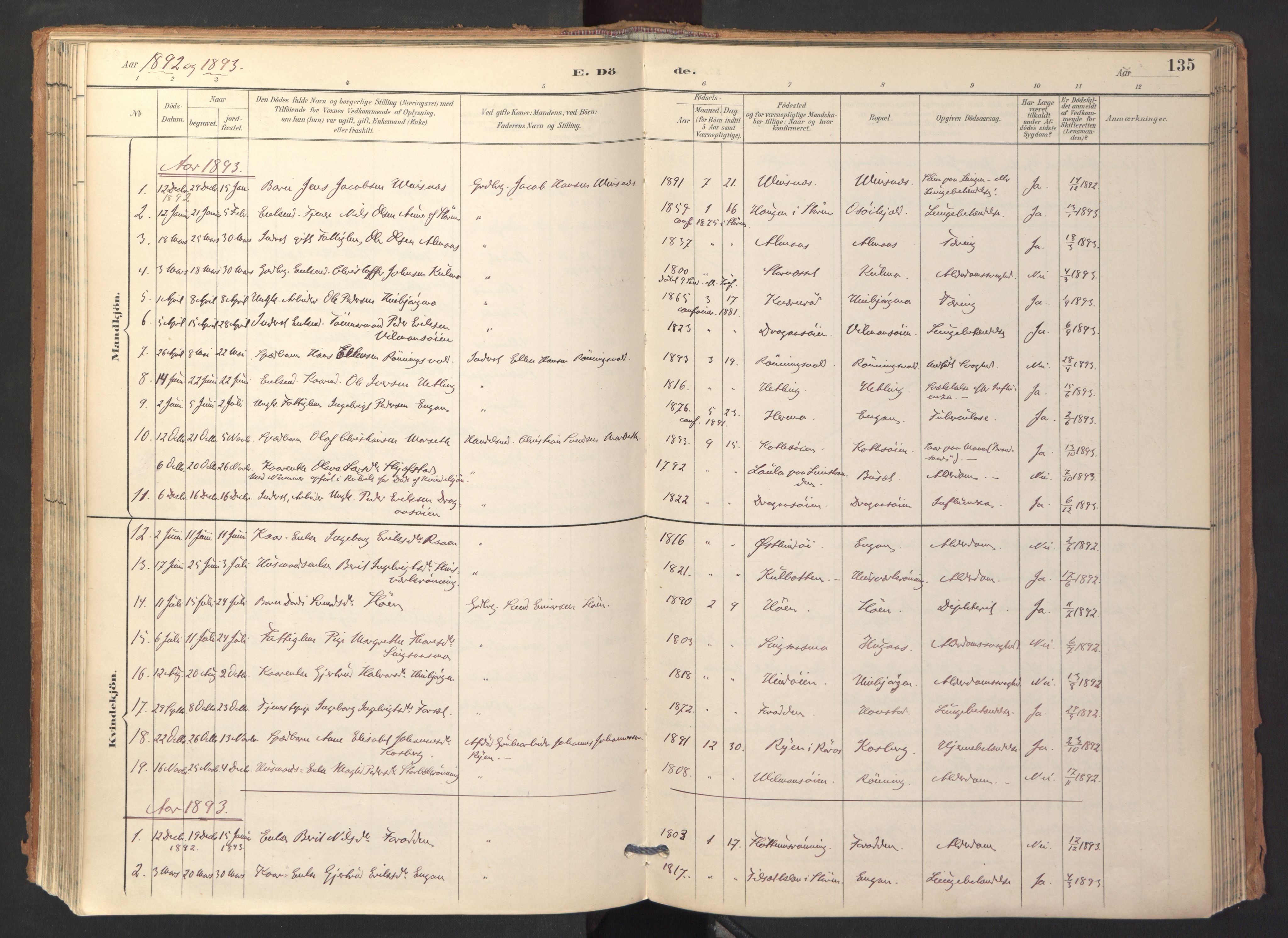 Ministerialprotokoller, klokkerbøker og fødselsregistre - Sør-Trøndelag, AV/SAT-A-1456/688/L1025: Ministerialbok nr. 688A02, 1891-1909, s. 135