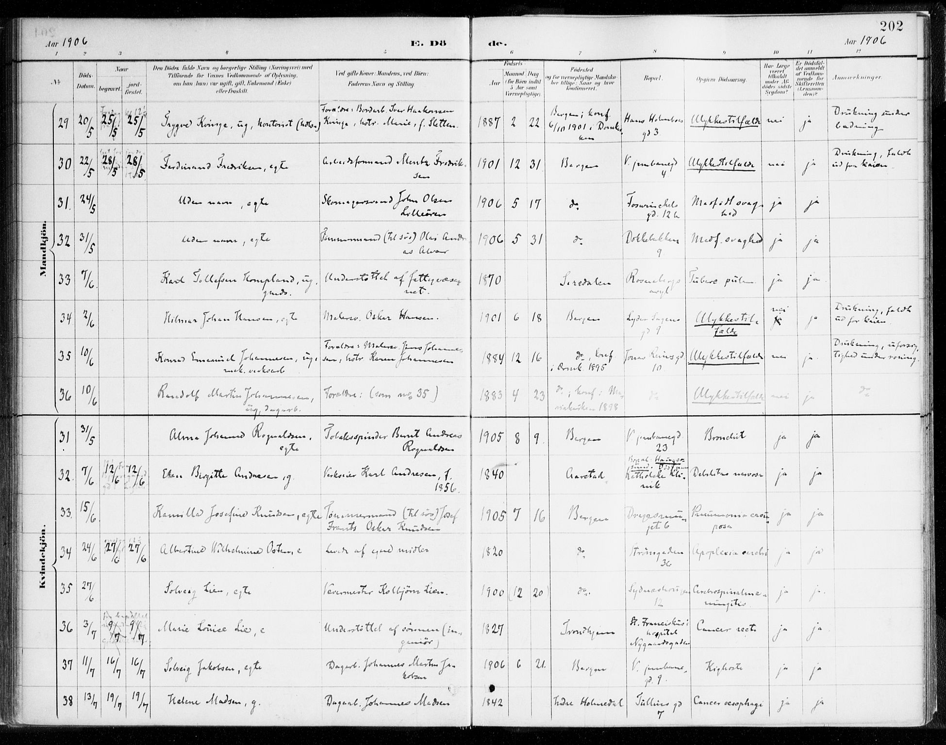 Johanneskirken sokneprestembete, AV/SAB-A-76001/H/Haa/L0019: Ministerialbok nr. E 1, 1885-1915, s. 202