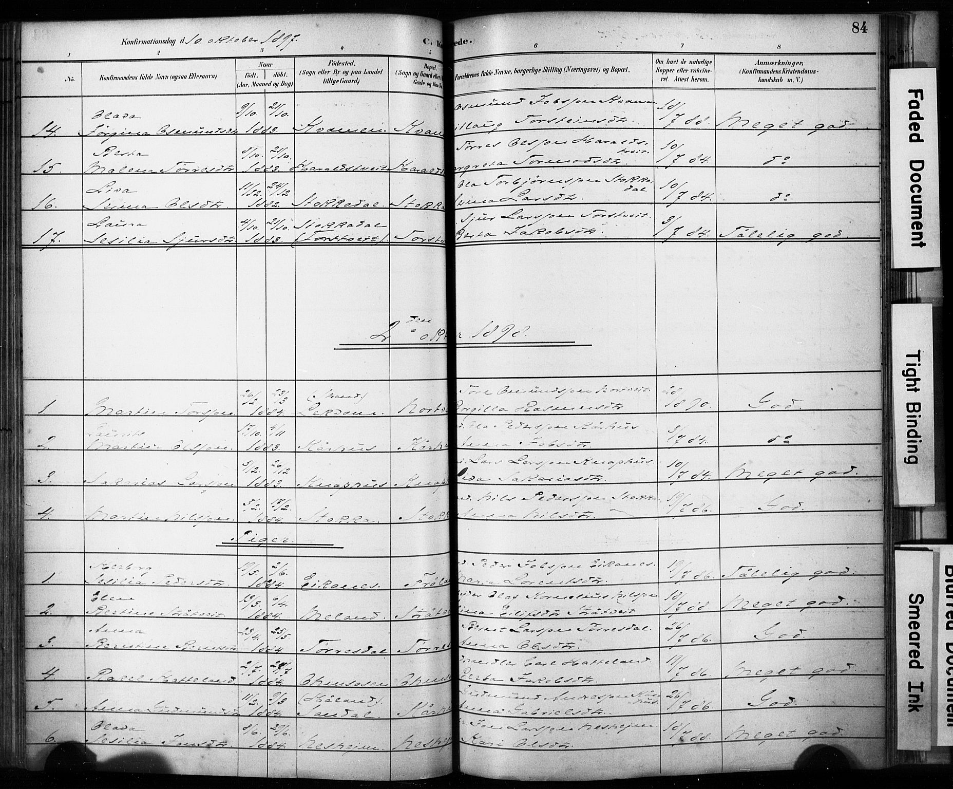 Skjold sokneprestkontor, SAST/A-101847/H/Ha/Haa/L0009: Ministerialbok nr. A 9, 1882-1898, s. 84
