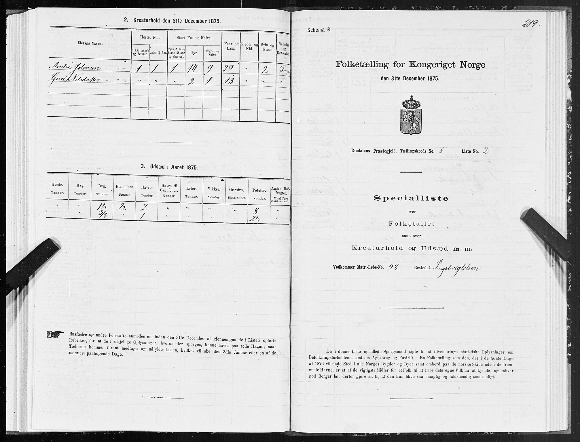 SAT, Folketelling 1875 for 1567P Rindal prestegjeld, 1875, s. 2219