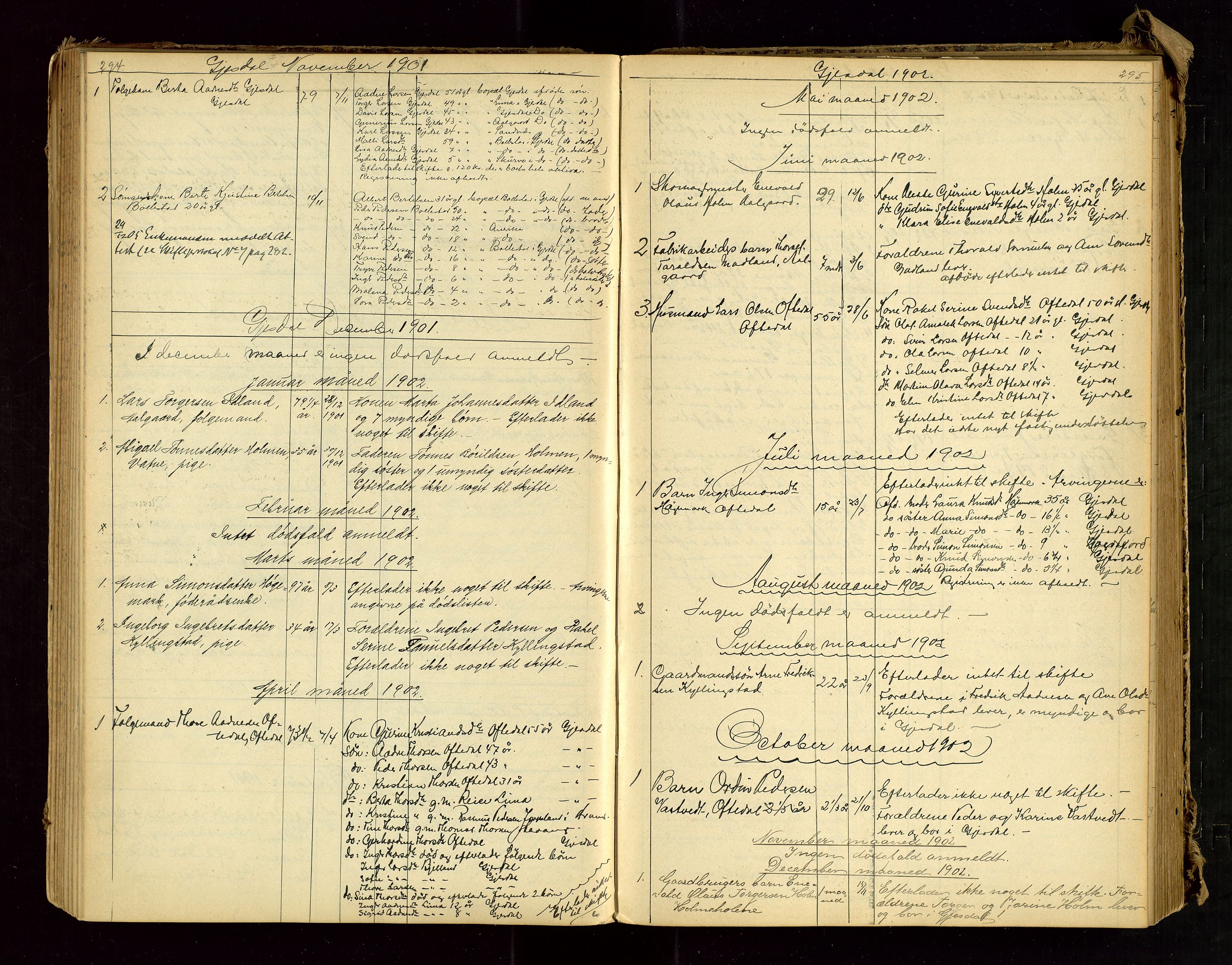 Jæren sorenskriveri, AV/SAST-A-100310/01/5/52/52B/L0002: DØDSFALLPROTOKOLL, 1896-1910, s. 294-295