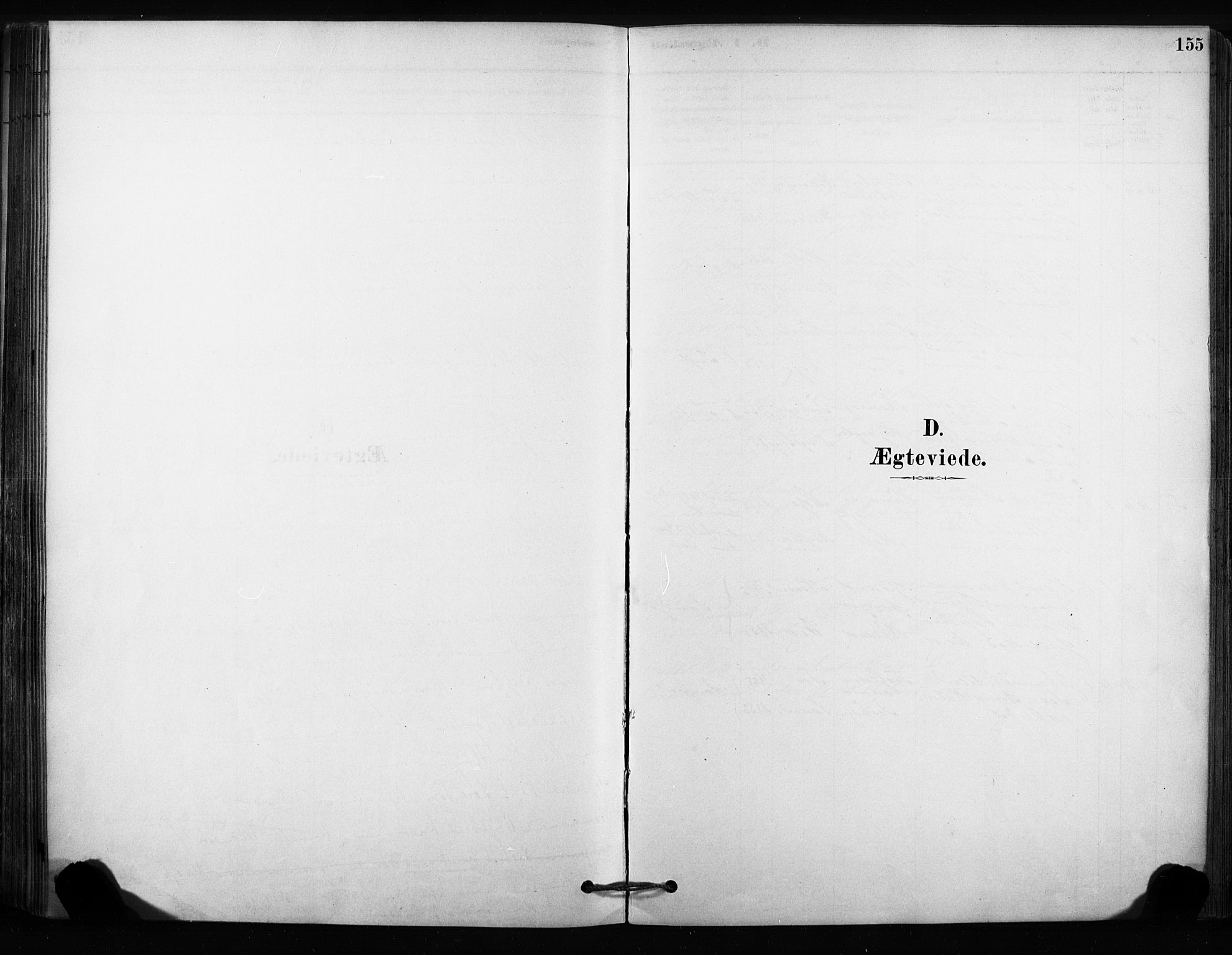 Sandsvær kirkebøker, AV/SAKO-A-244/F/Fc/L0001: Ministerialbok nr. III 1, 1878-1923, s. 155