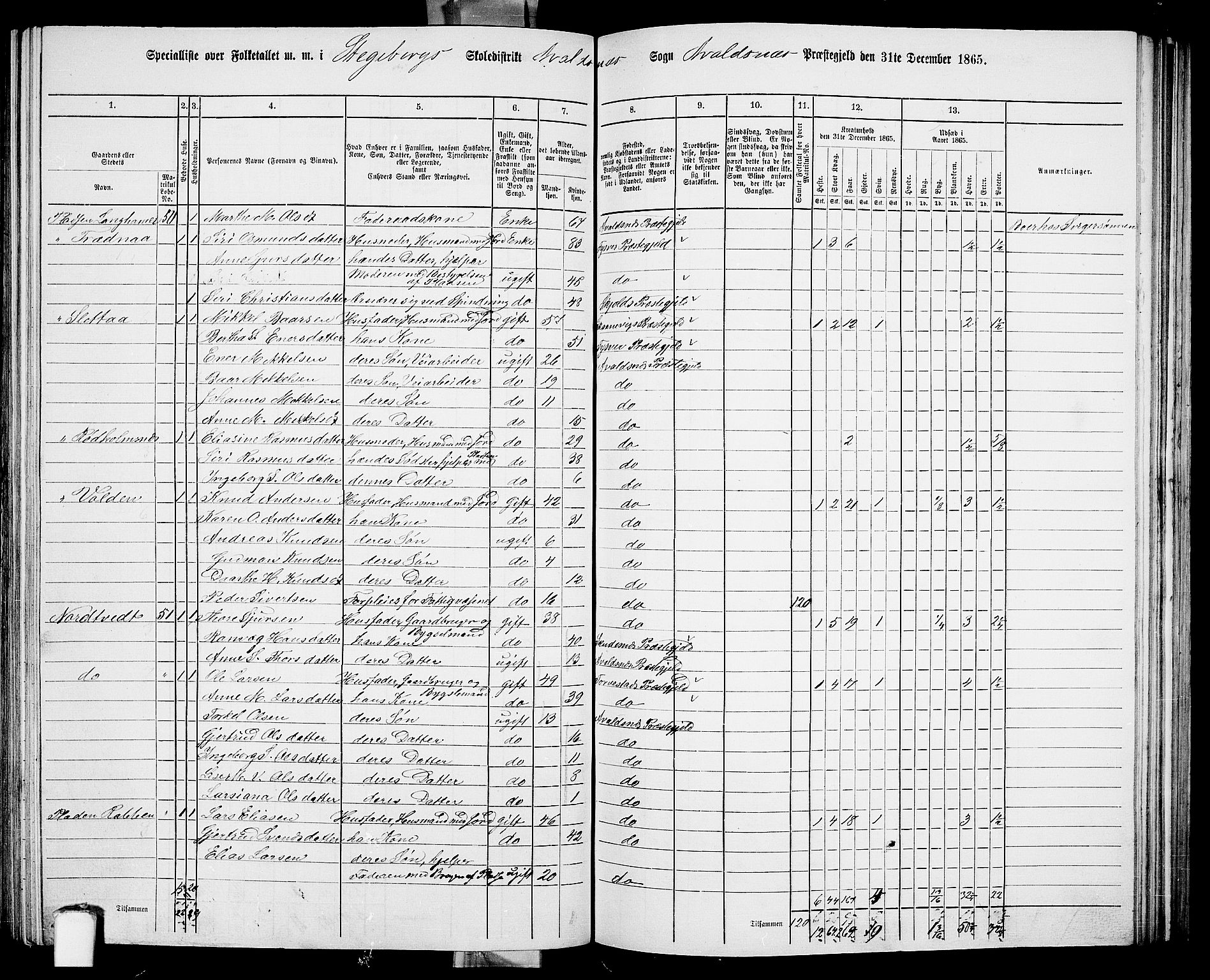 RA, Folketelling 1865 for 1147P Avaldsnes prestegjeld, 1865, s. 171