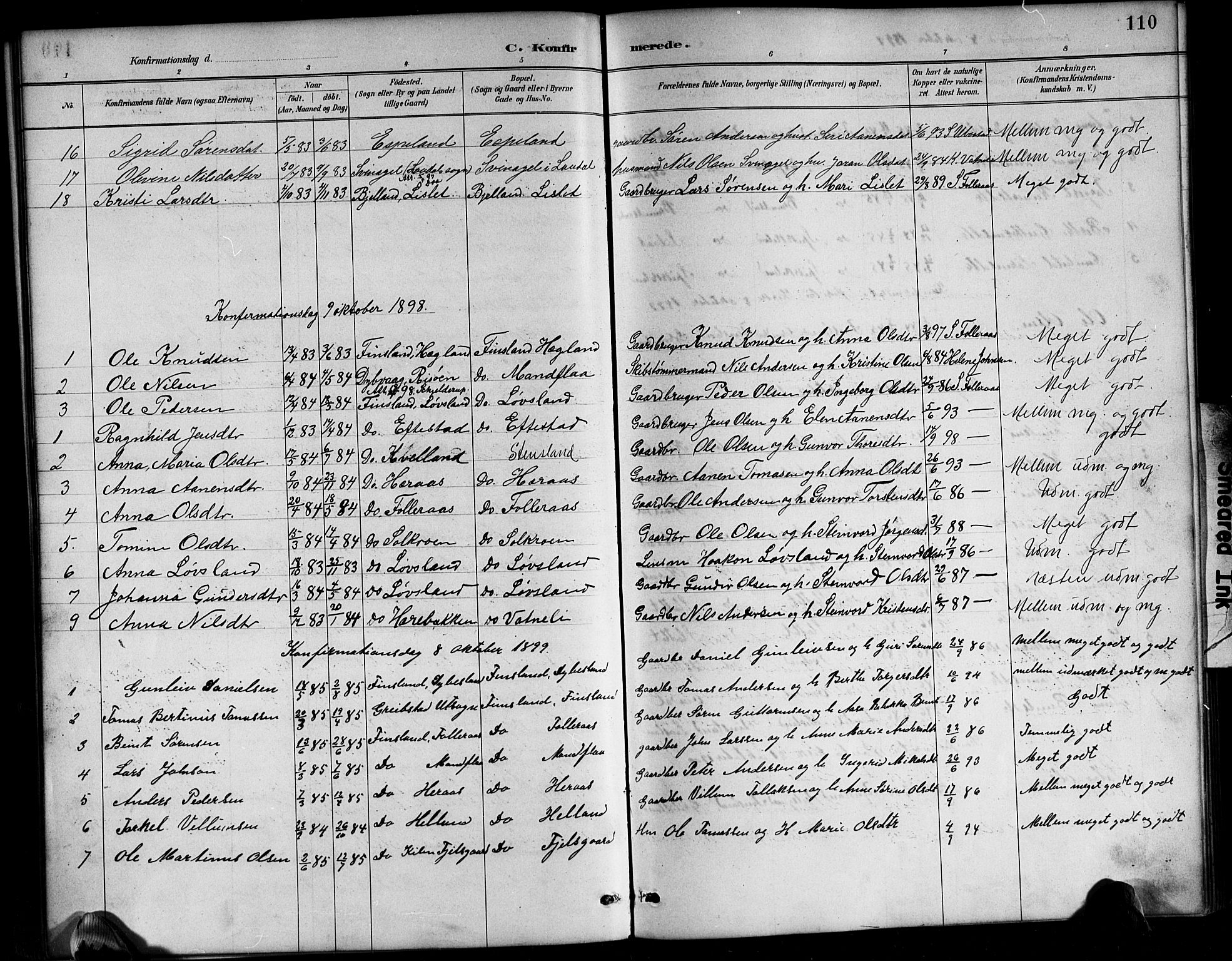 Bjelland sokneprestkontor, AV/SAK-1111-0005/F/Fb/Fbb/L0005: Klokkerbok nr. B 5, 1887-1918, s. 110