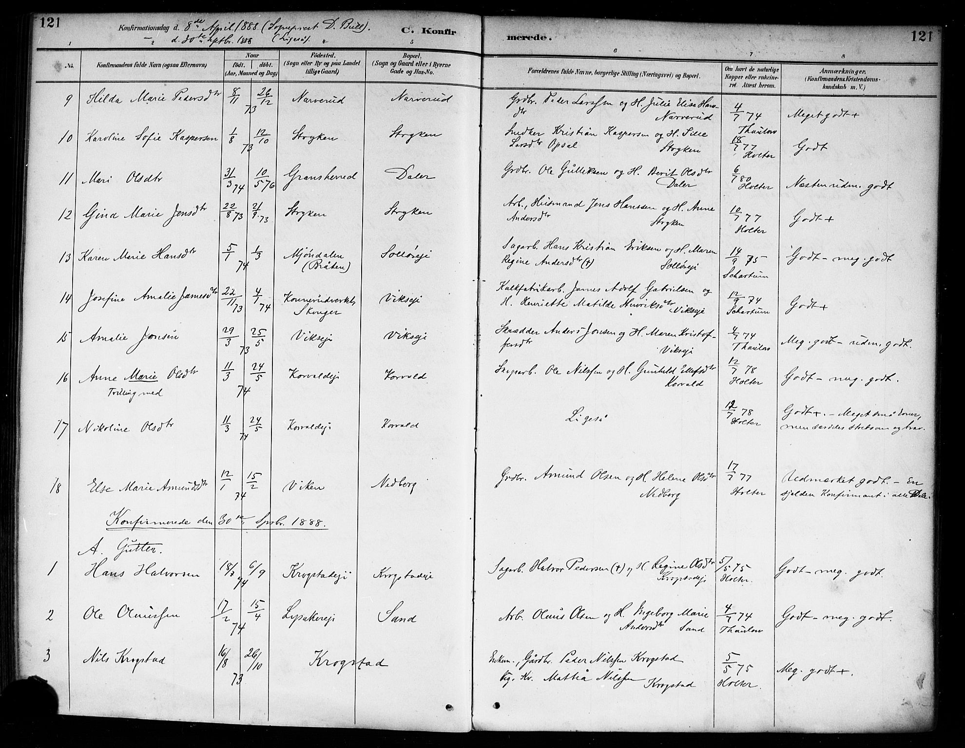 Nedre Eiker kirkebøker, AV/SAKO-A-612/F/Fa/L0003: Ministerialbok nr. 3, 1885-1892, s. 121