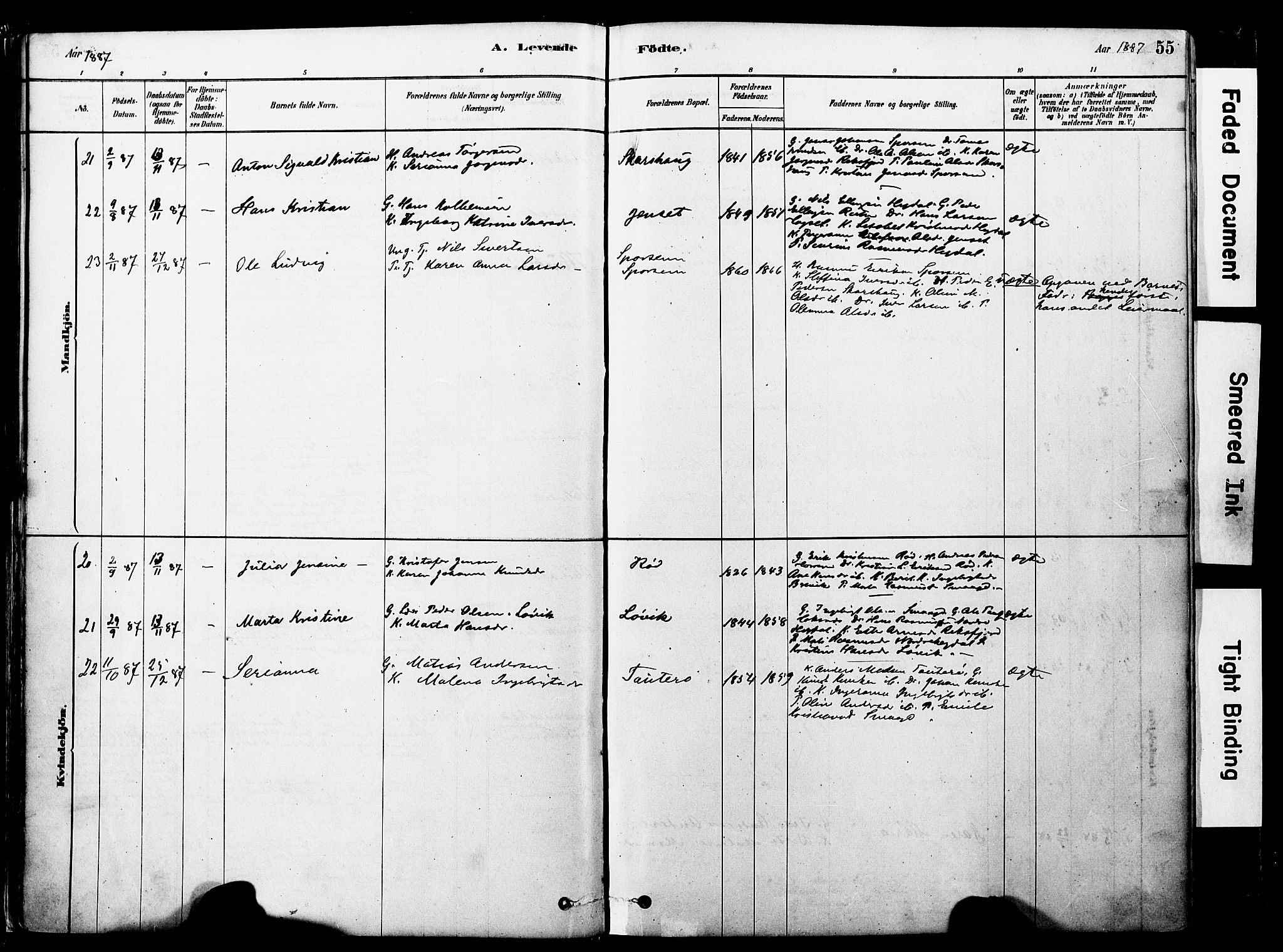 Ministerialprotokoller, klokkerbøker og fødselsregistre - Møre og Romsdal, SAT/A-1454/560/L0721: Ministerialbok nr. 560A05, 1878-1917, s. 55