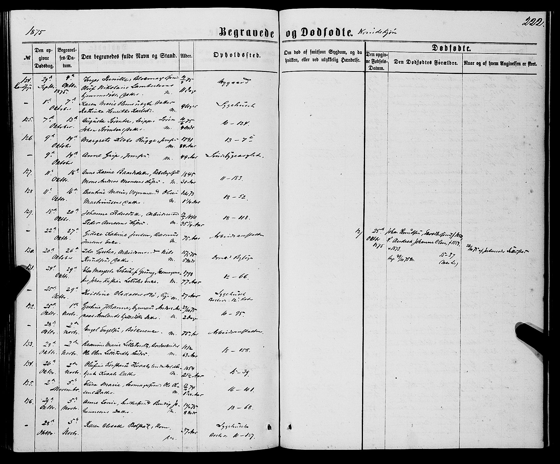 Domkirken sokneprestembete, AV/SAB-A-74801/H/Haa/L0042: Ministerialbok nr. E 3, 1863-1876, s. 222