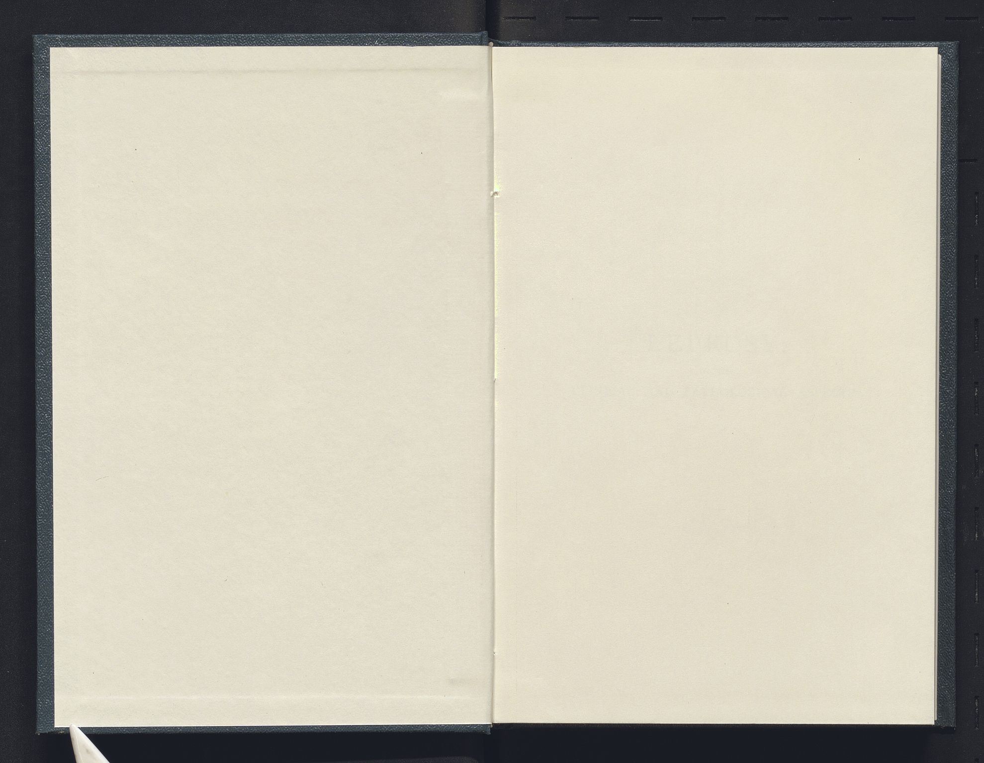 Andre publikasjoner, PUBL/PUBL-999/0004/0002: G.H. Armauer Hansen og Carl A. Looft: Leprosy in its clinical & pathological aspects (1895), 1895