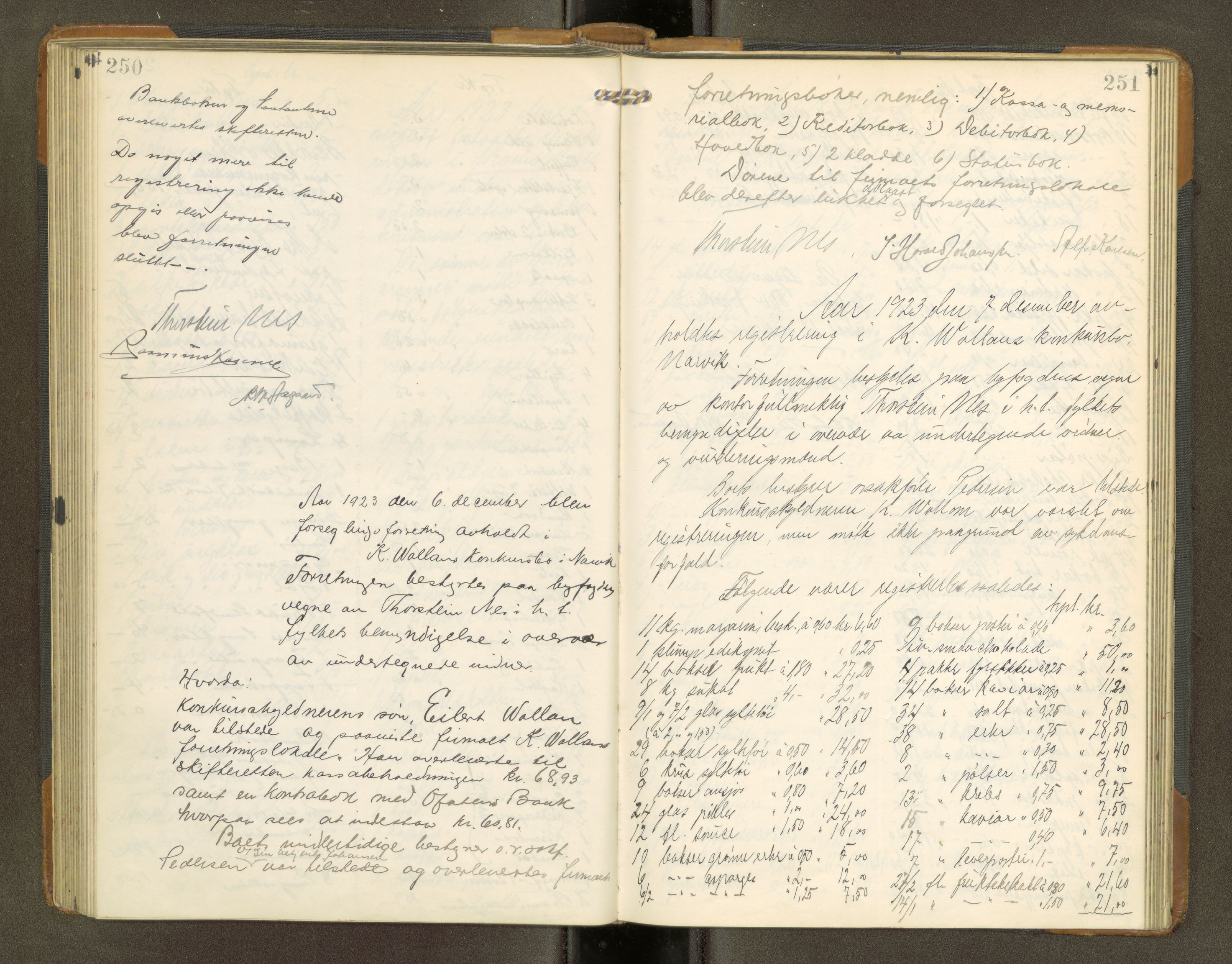 Narvik sorenskriveri, AV/SAT-A-0002/1/3/3C/L0002: Registreringsprotokoll - Narvik Byfogd, 1913-1927, s. 250-251