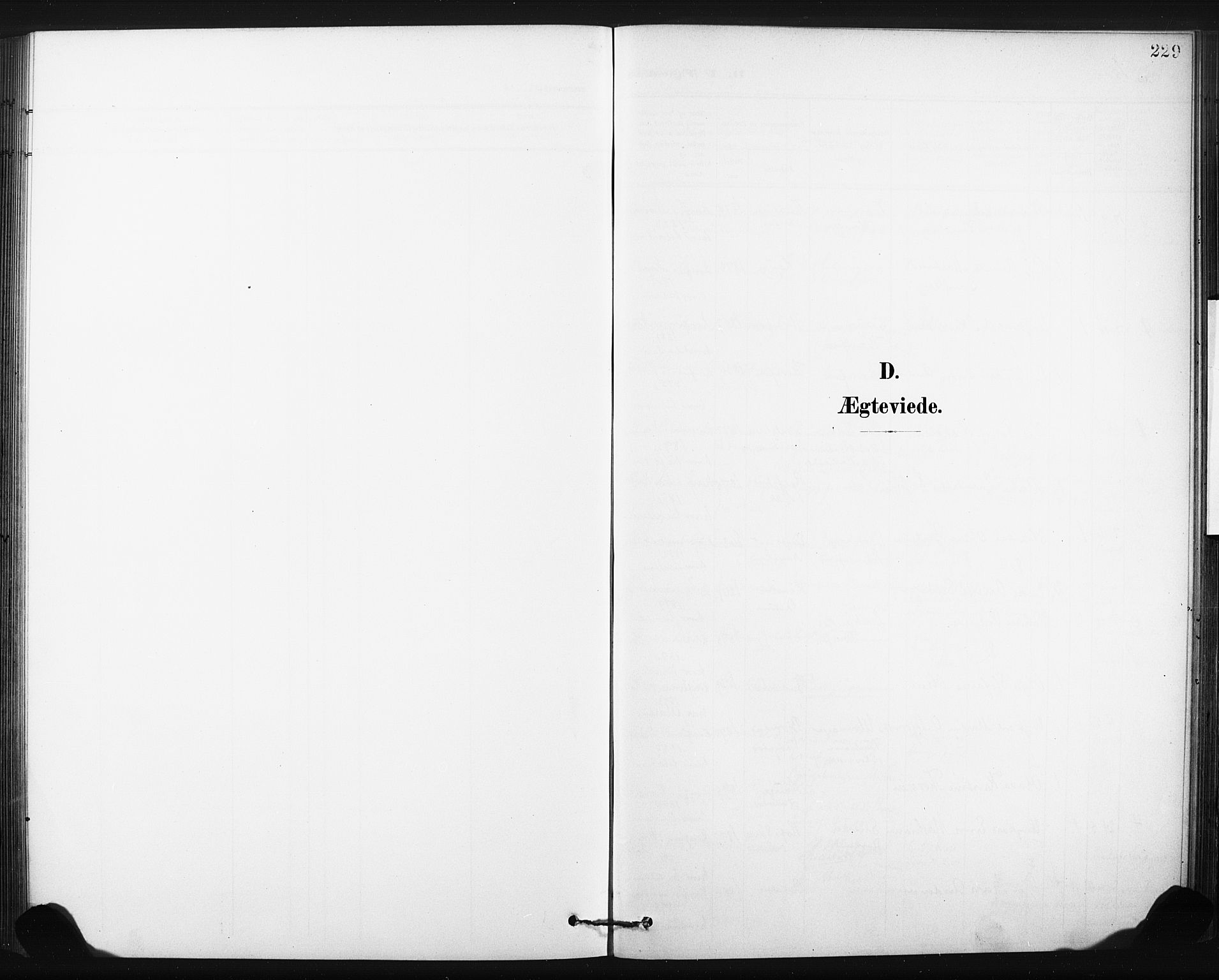 Hønefoss kirkebøker, SAKO/A-609/F/Fa/L0003: Ministerialbok nr. 3, 1900-1913, s. 229