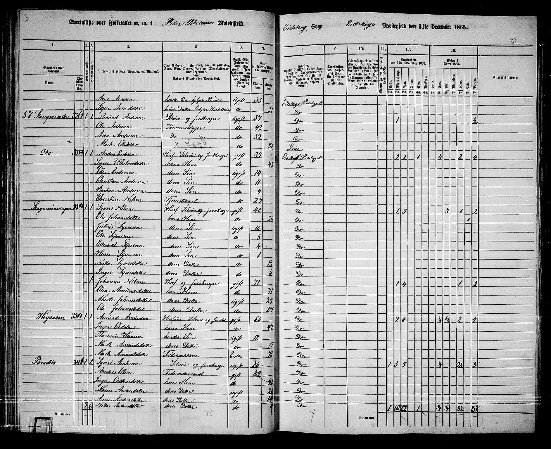 RA, Folketelling 1865 for 0420P Eidskog prestegjeld, 1865, s. 63