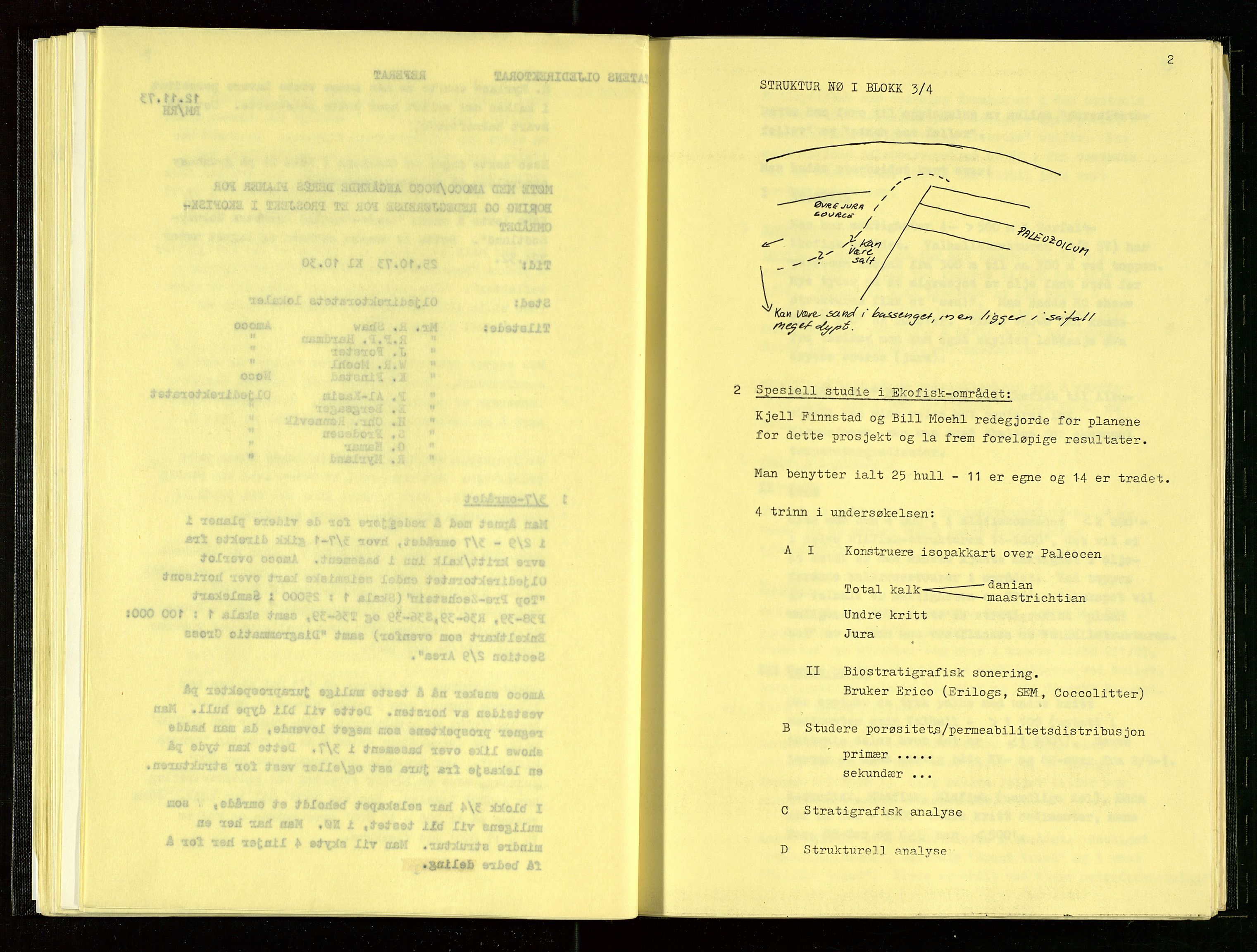 Oljedirektoratet, AV/SAST-A-101366/Aa/L0001: Referatprotokoller, 1973