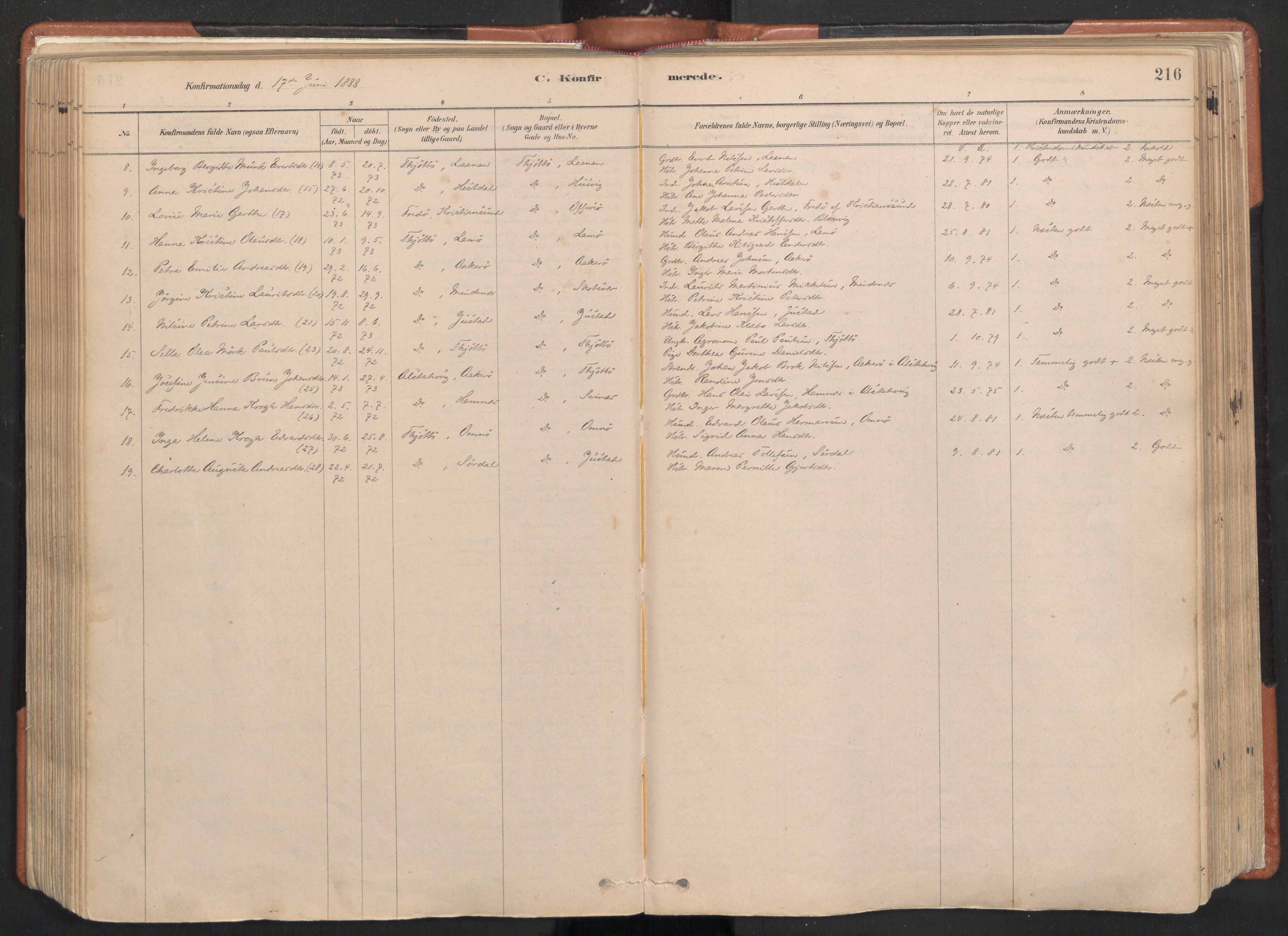 Ministerialprotokoller, klokkerbøker og fødselsregistre - Nordland, AV/SAT-A-1459/817/L0264: Ministerialbok nr. 817A04, 1878-1907, s. 216