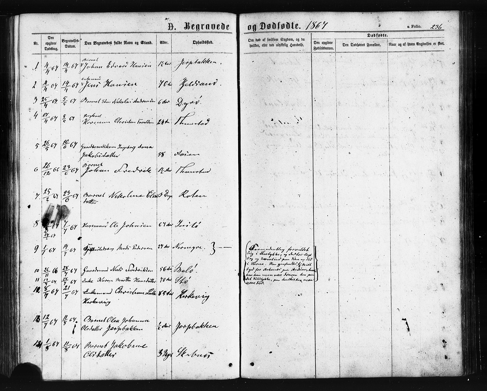 Ministerialprotokoller, klokkerbøker og fødselsregistre - Nordland, SAT/A-1459/893/L1334: Ministerialbok nr. 893A07, 1867-1877, s. 236