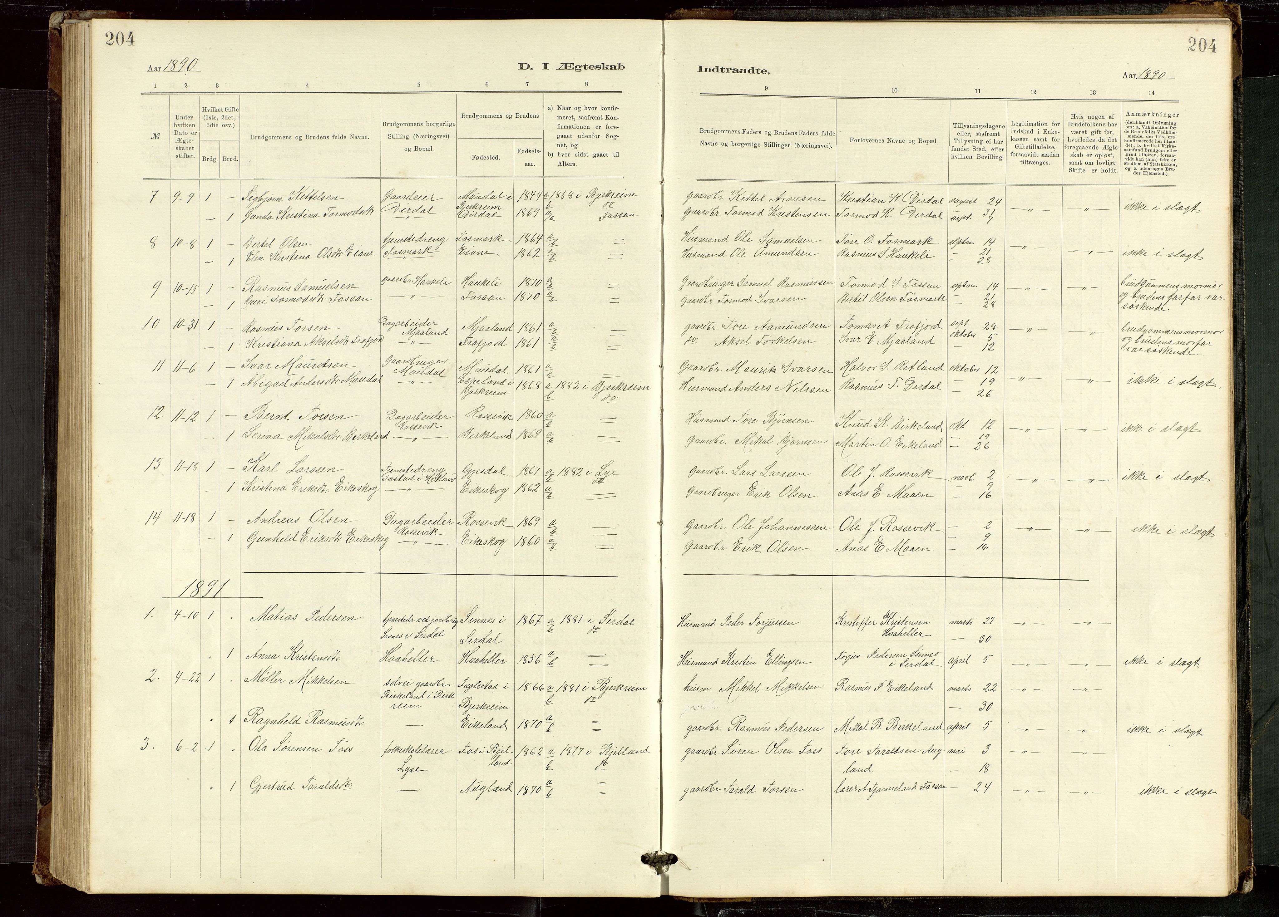 Høgsfjord sokneprestkontor, SAST/A-101624/H/Ha/Hab/L0009: Klokkerbok nr. B 9, 1883-1920, s. 204