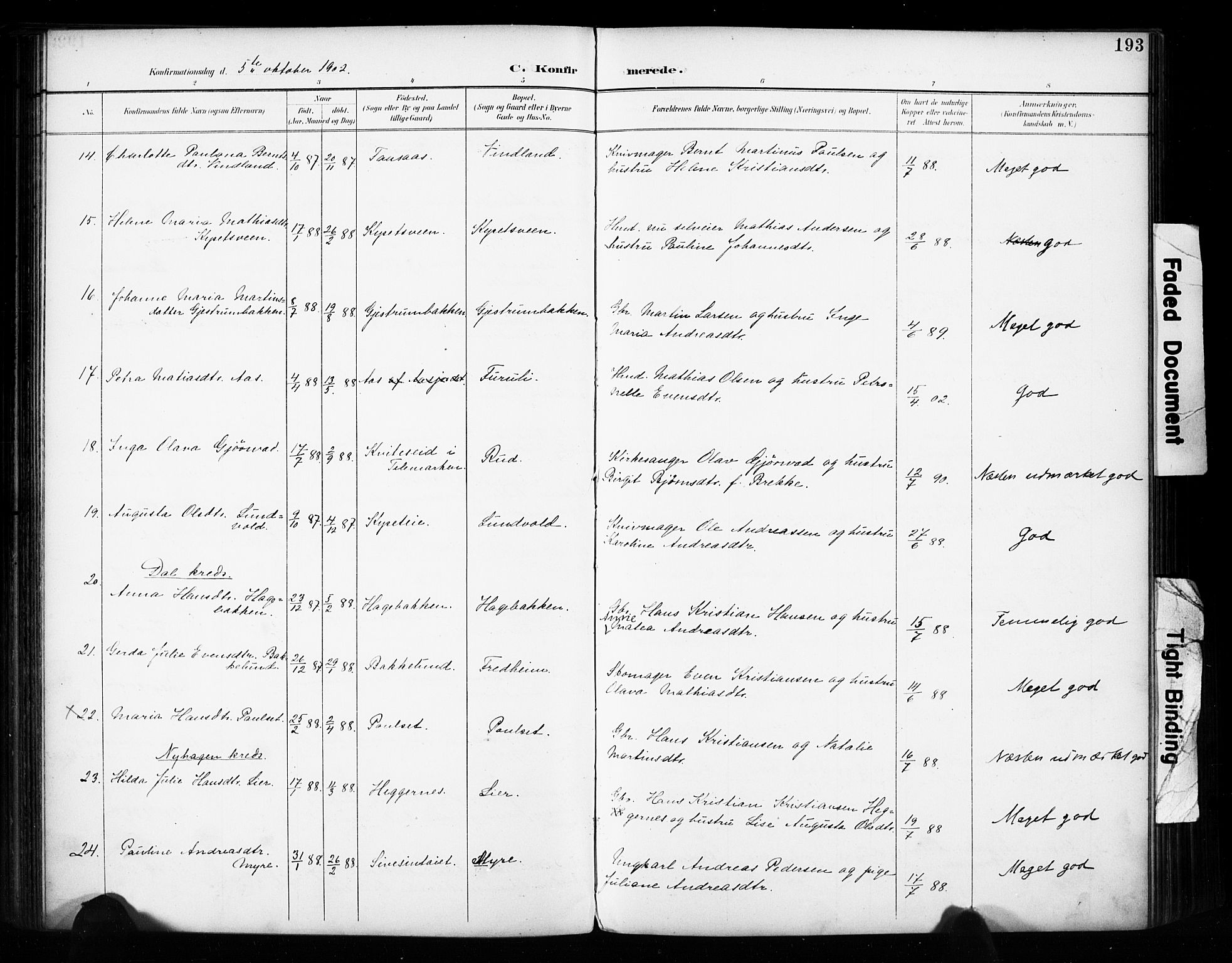 Vestre Toten prestekontor, SAH/PREST-108/H/Ha/Haa/L0011: Ministerialbok nr. 11, 1895-1906, s. 193